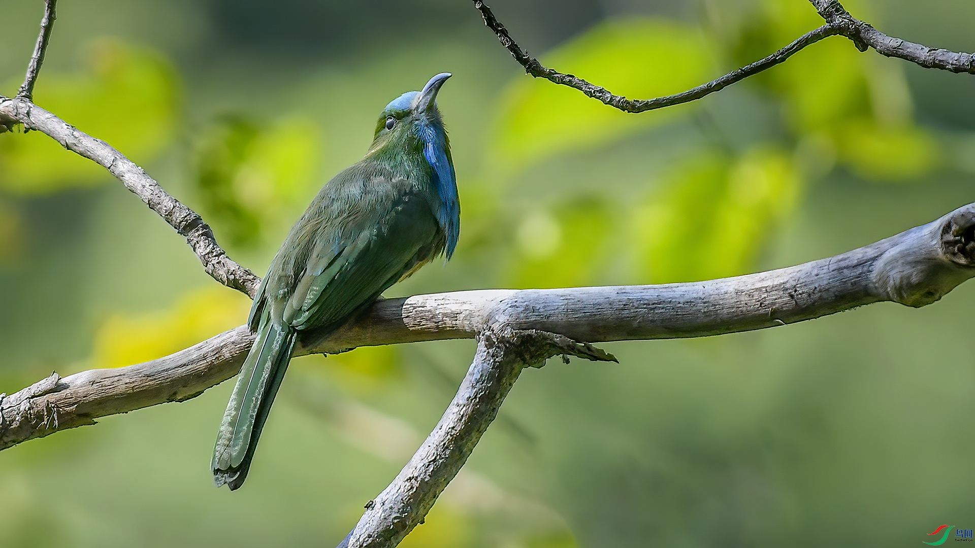 DSC_86nn85.jpg