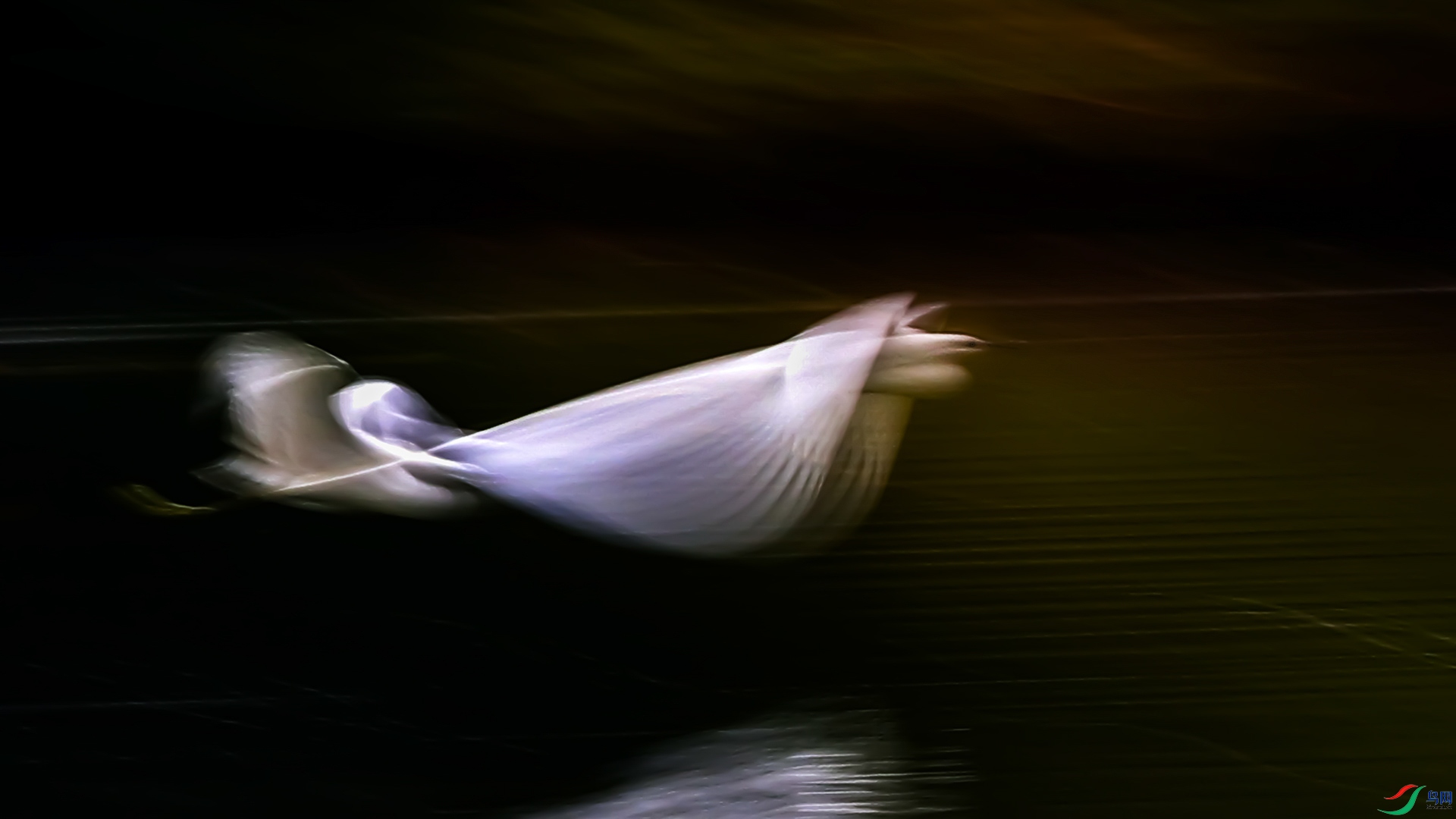 ������ˮ���Ϸ���