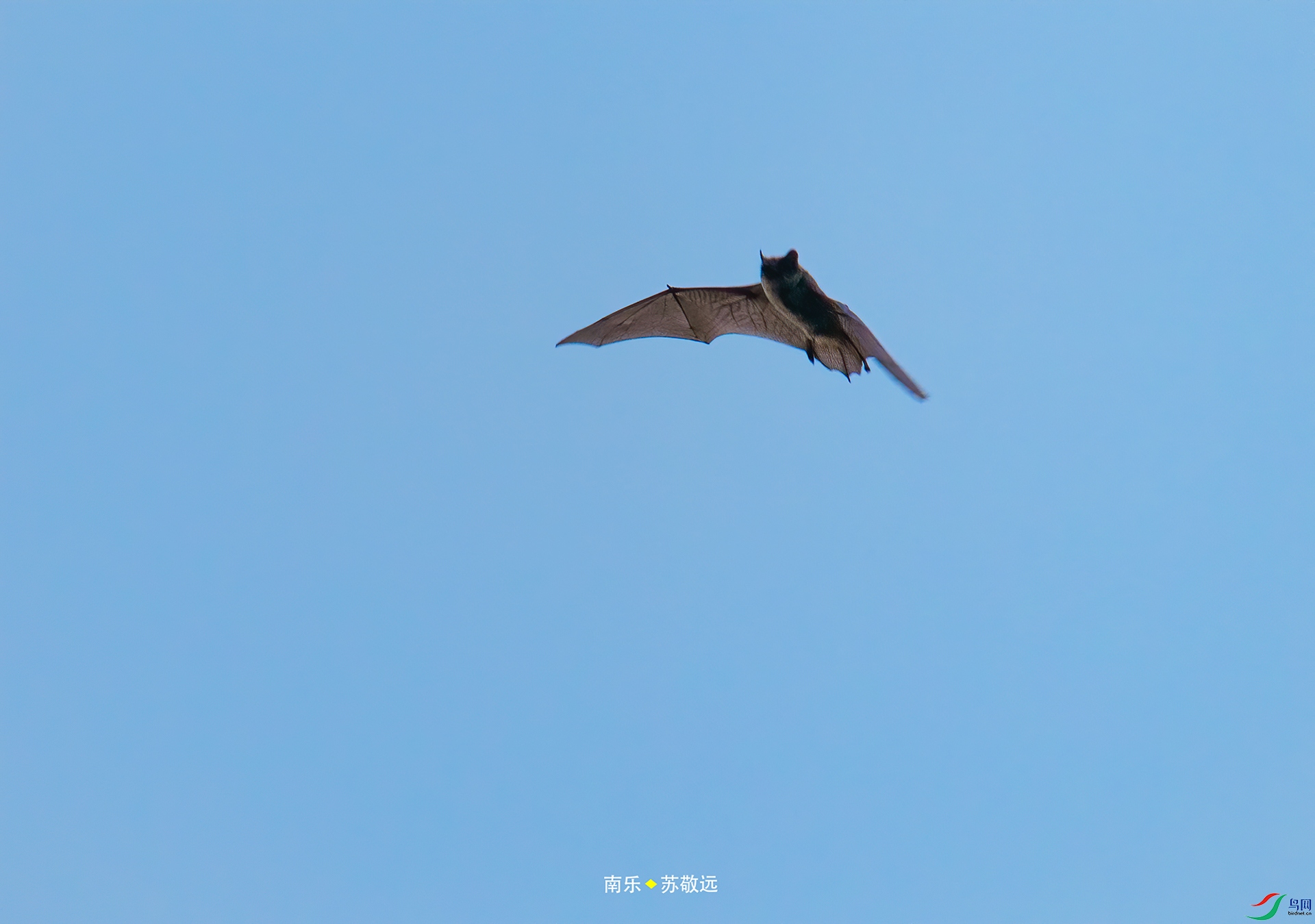 _AAA0539С.jpg