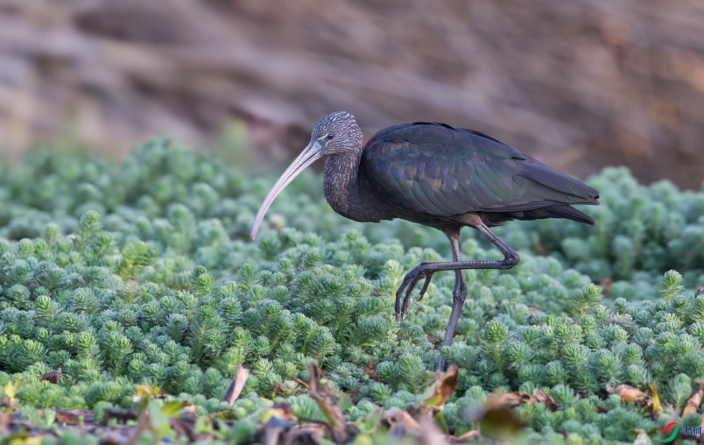DSC_76741.jpg