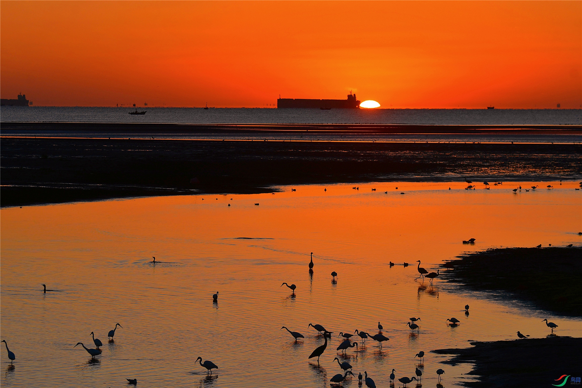 DSC_1033.JPG
