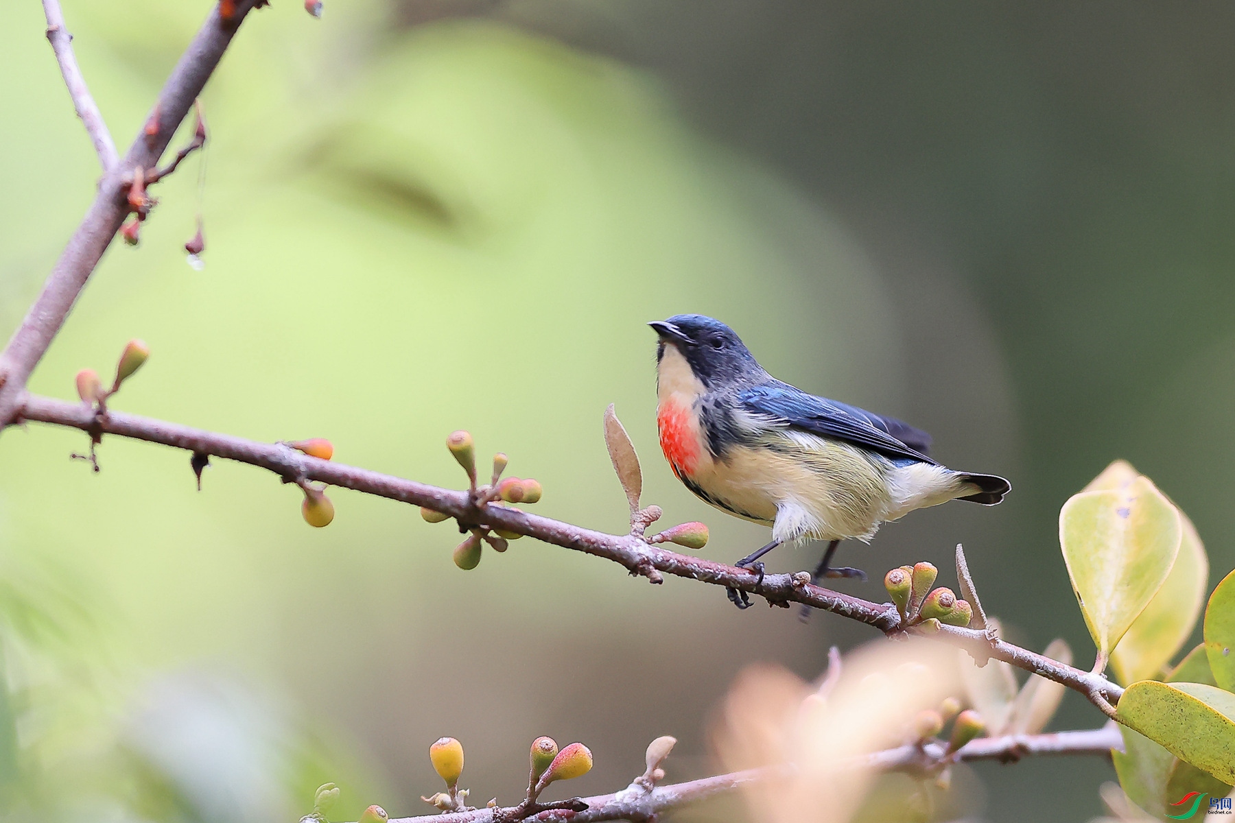 1M6A0411 ����_����.jpg