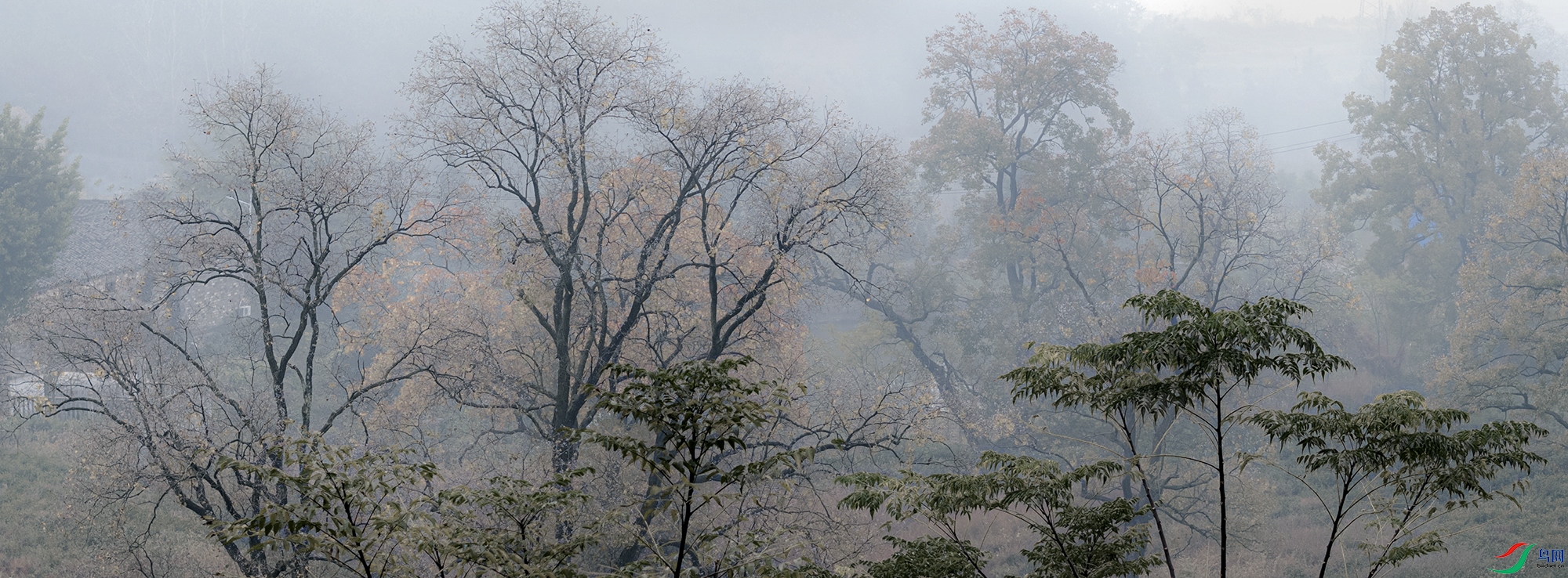 DJI_20231028075640_0034_D ���� 2.jpg