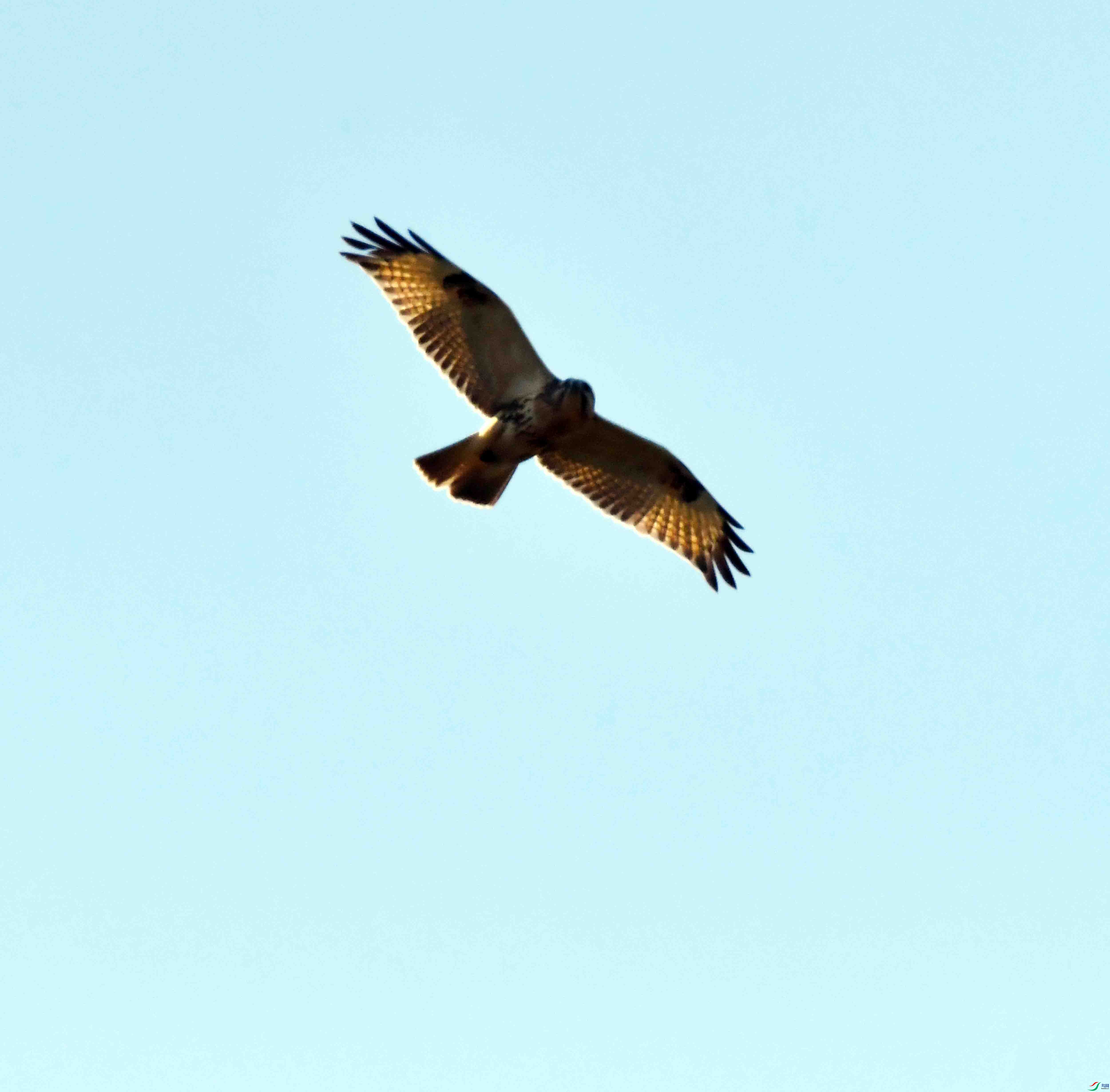 DSC_0094.JPG