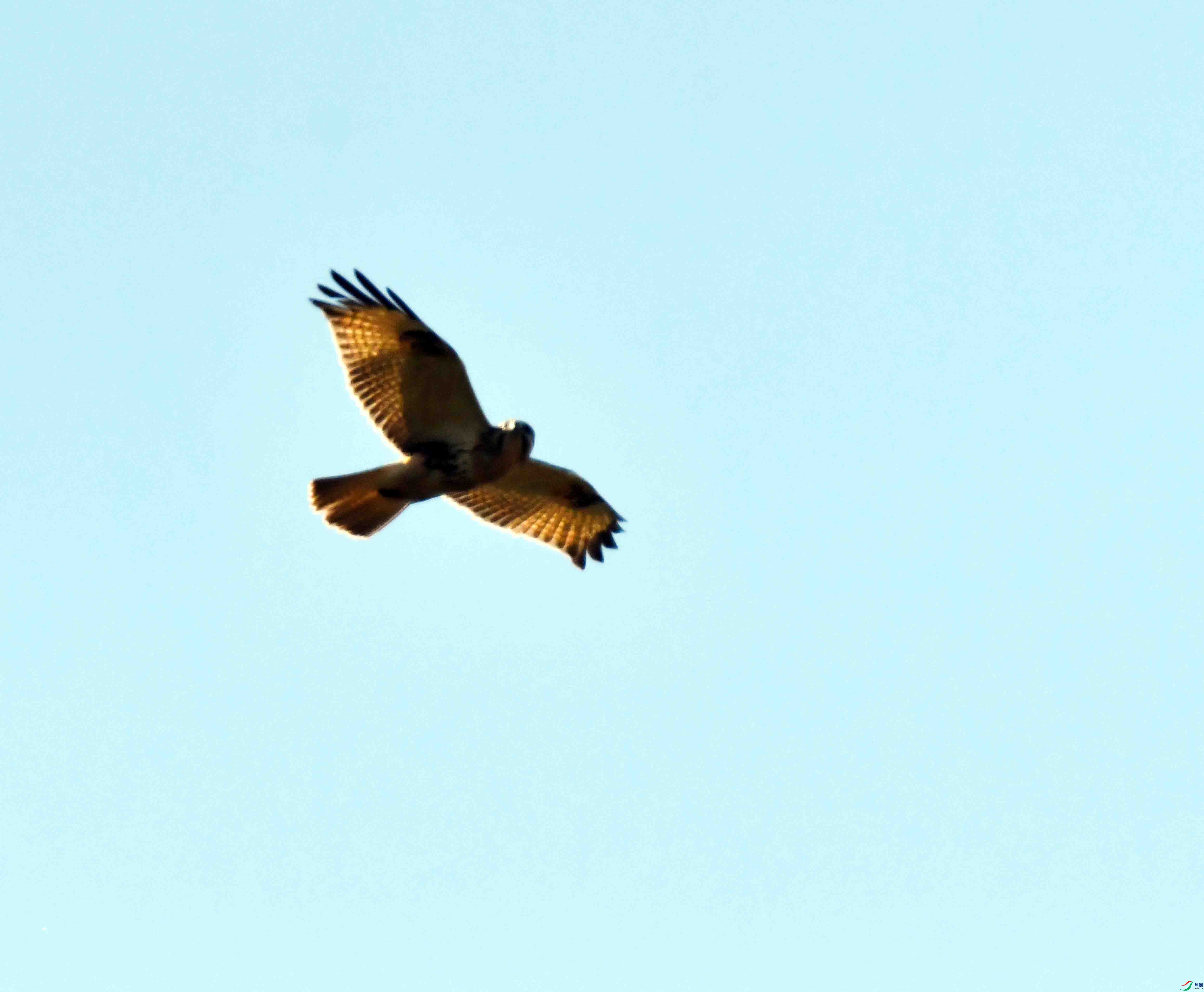 DSC_0096.JPG