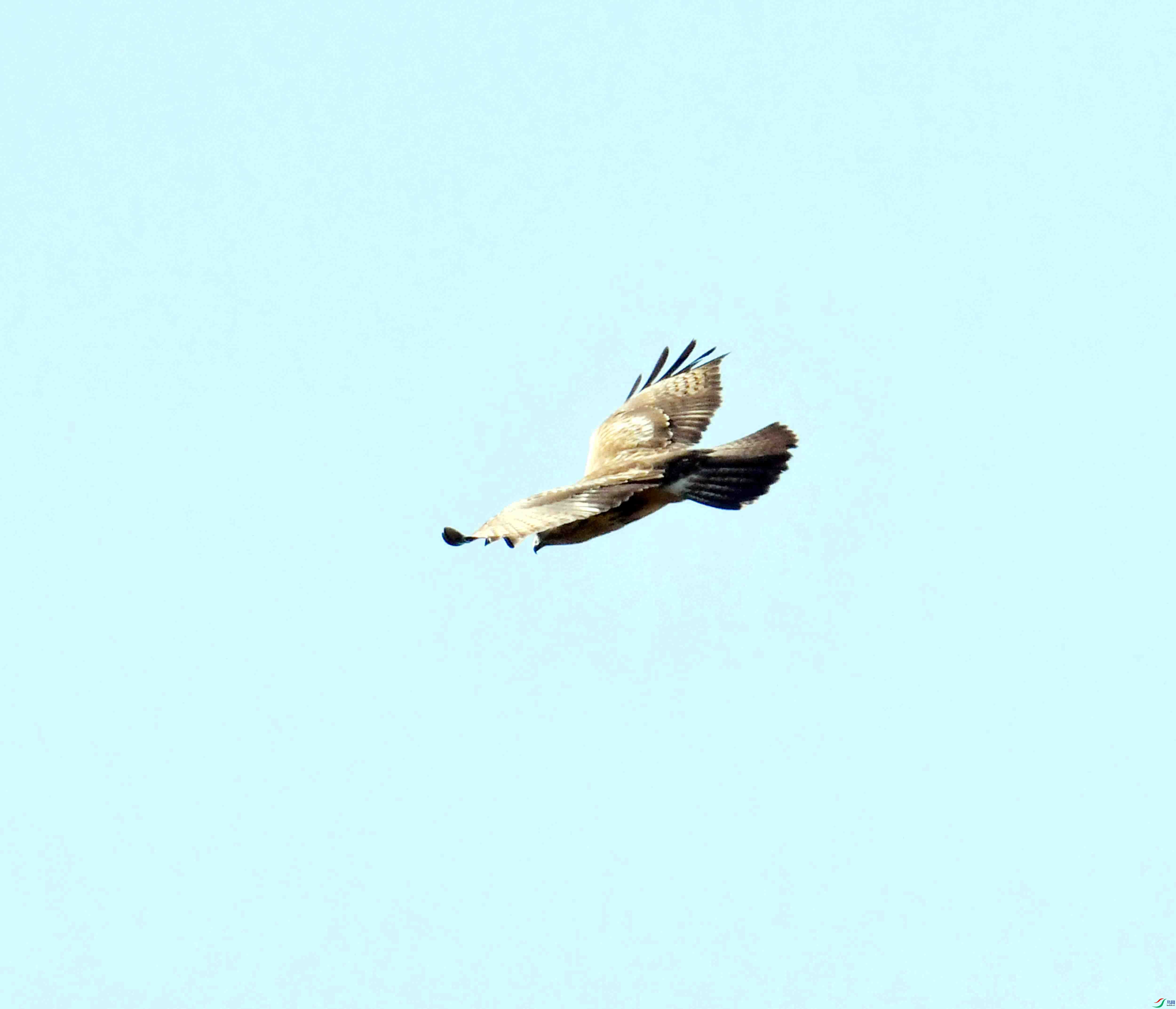 DSC_0101.JPG
