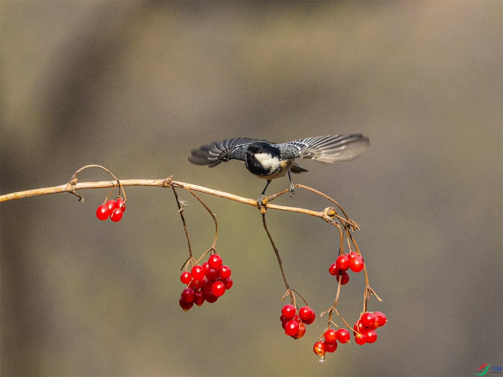 1K3A5311 ����1.jpg