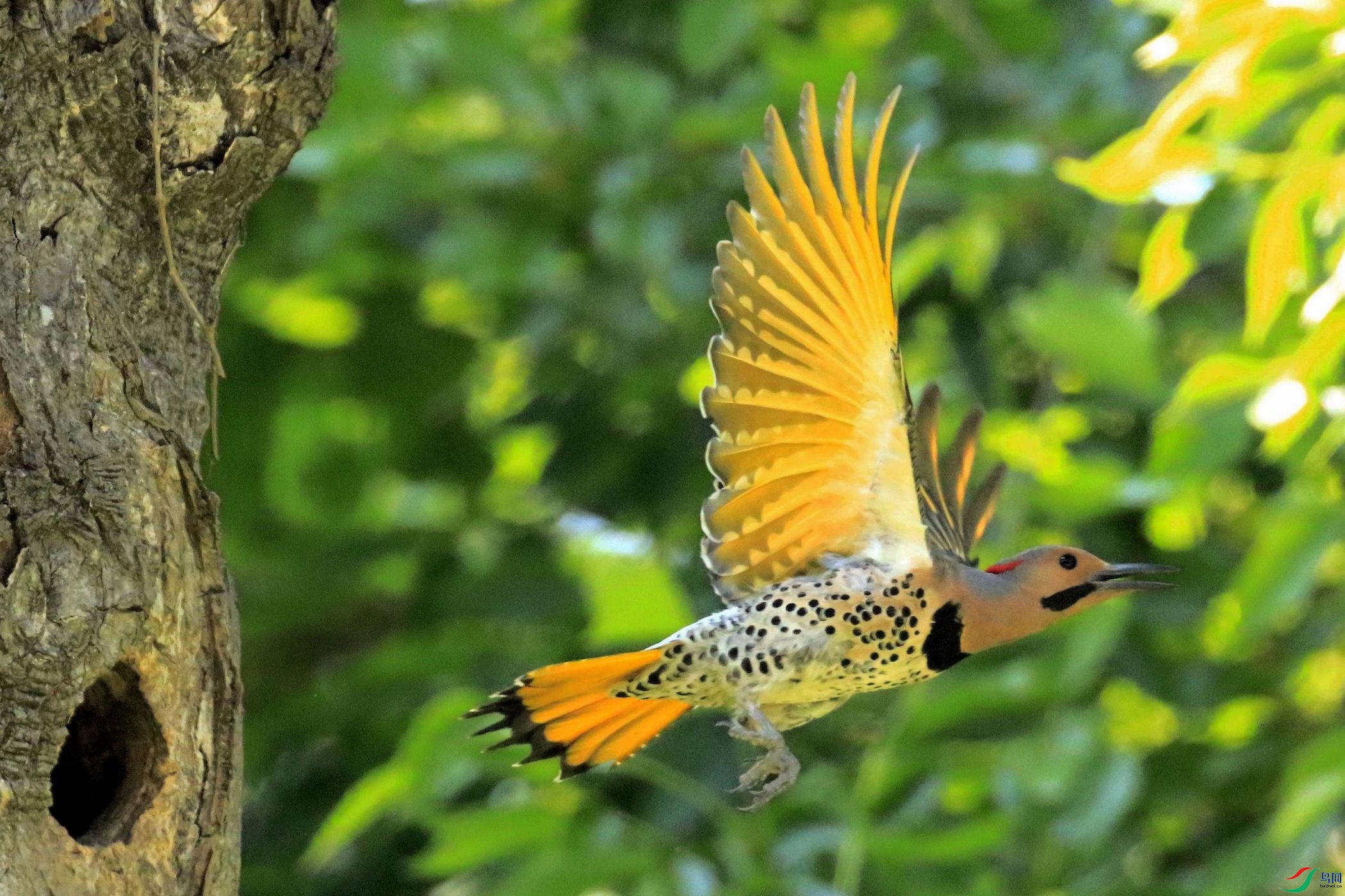 ���˳��� 09.jpg