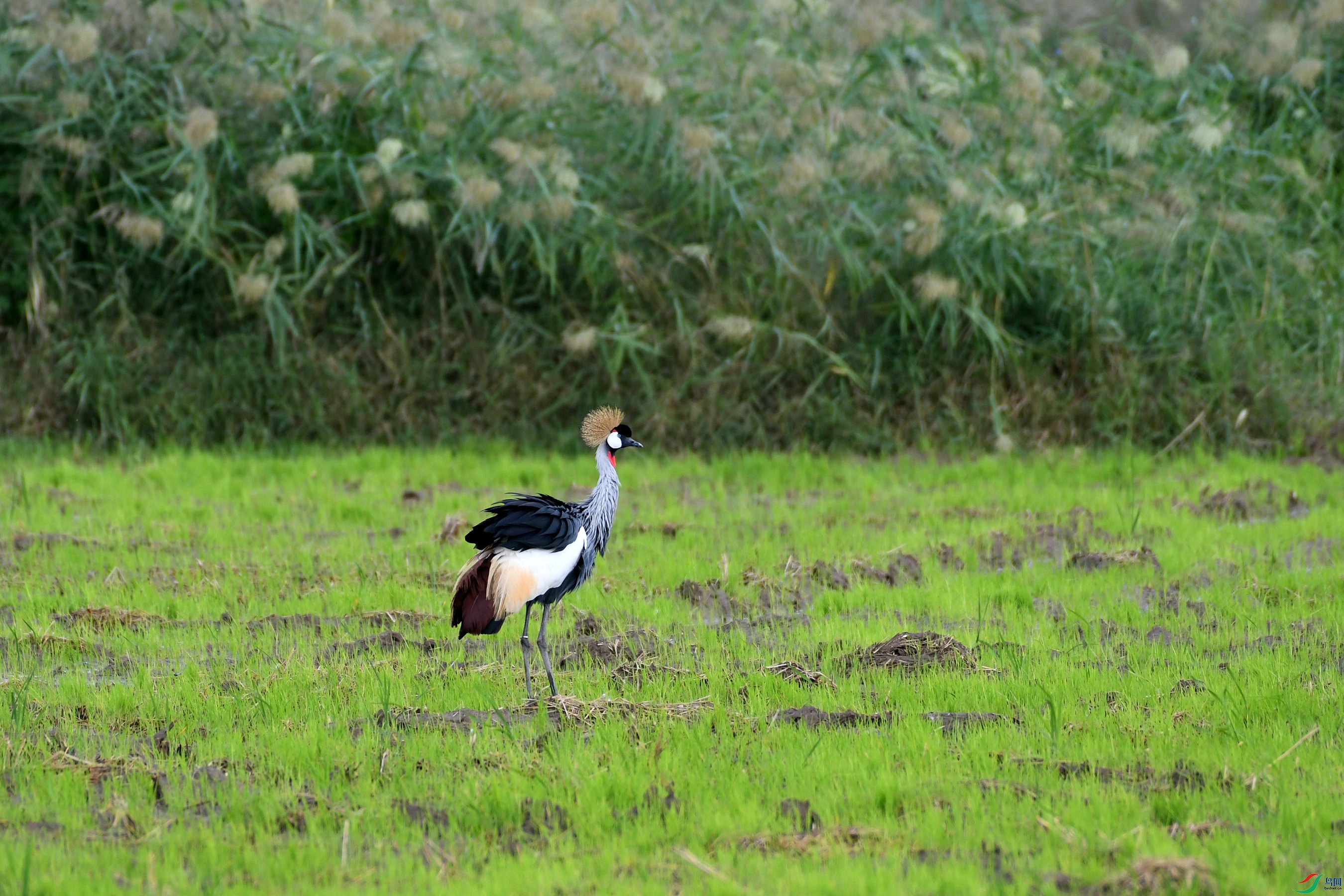 DSC_1282.JPG