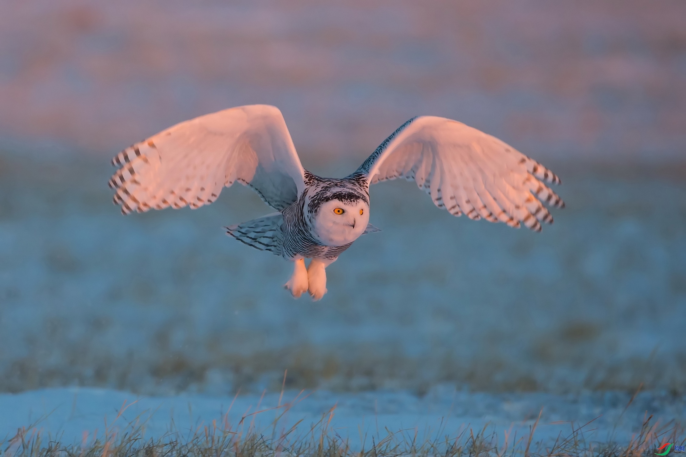 ÿ��һͼ ѩ�^  ���� ��ʯ  ����.jpg