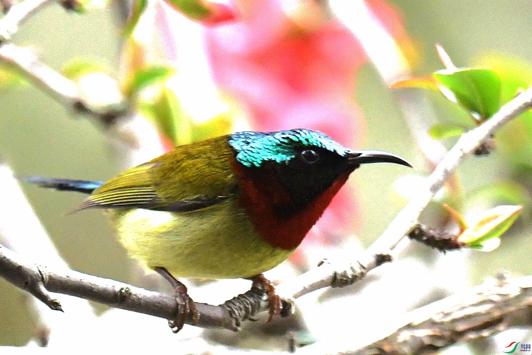 DSC_3942_����.jpg