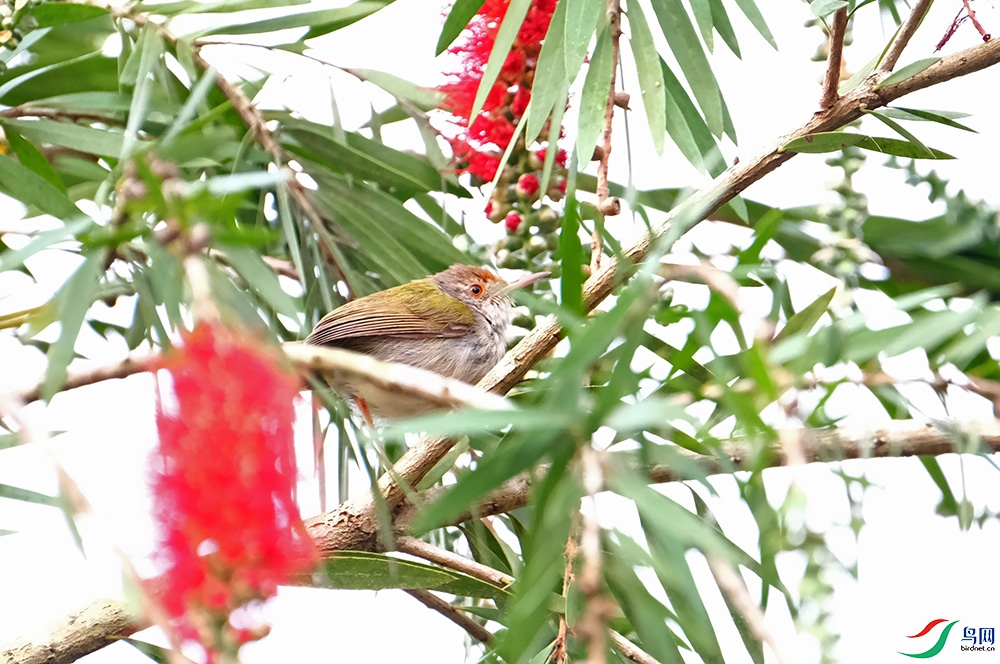 DSCF6405.1.jpg
