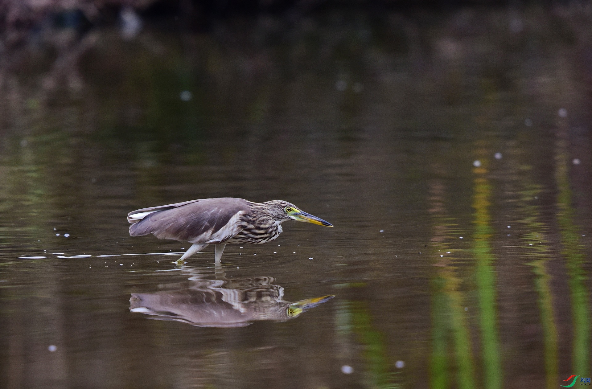 D8I_0592.jpg