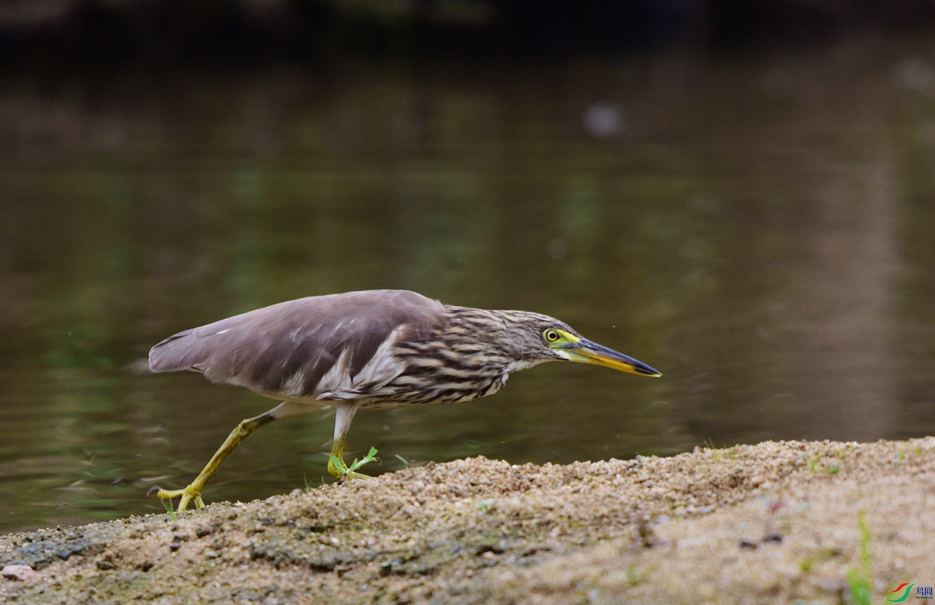 D8I_0507.jpg