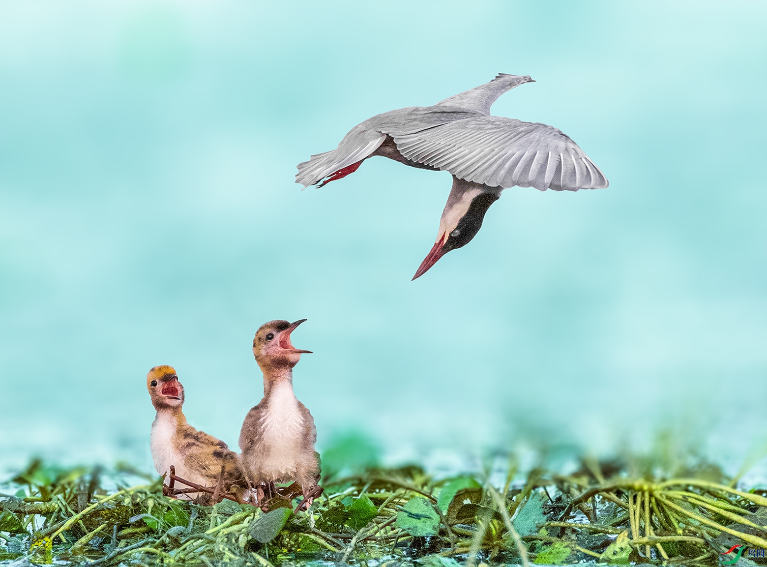 �����ˣ�