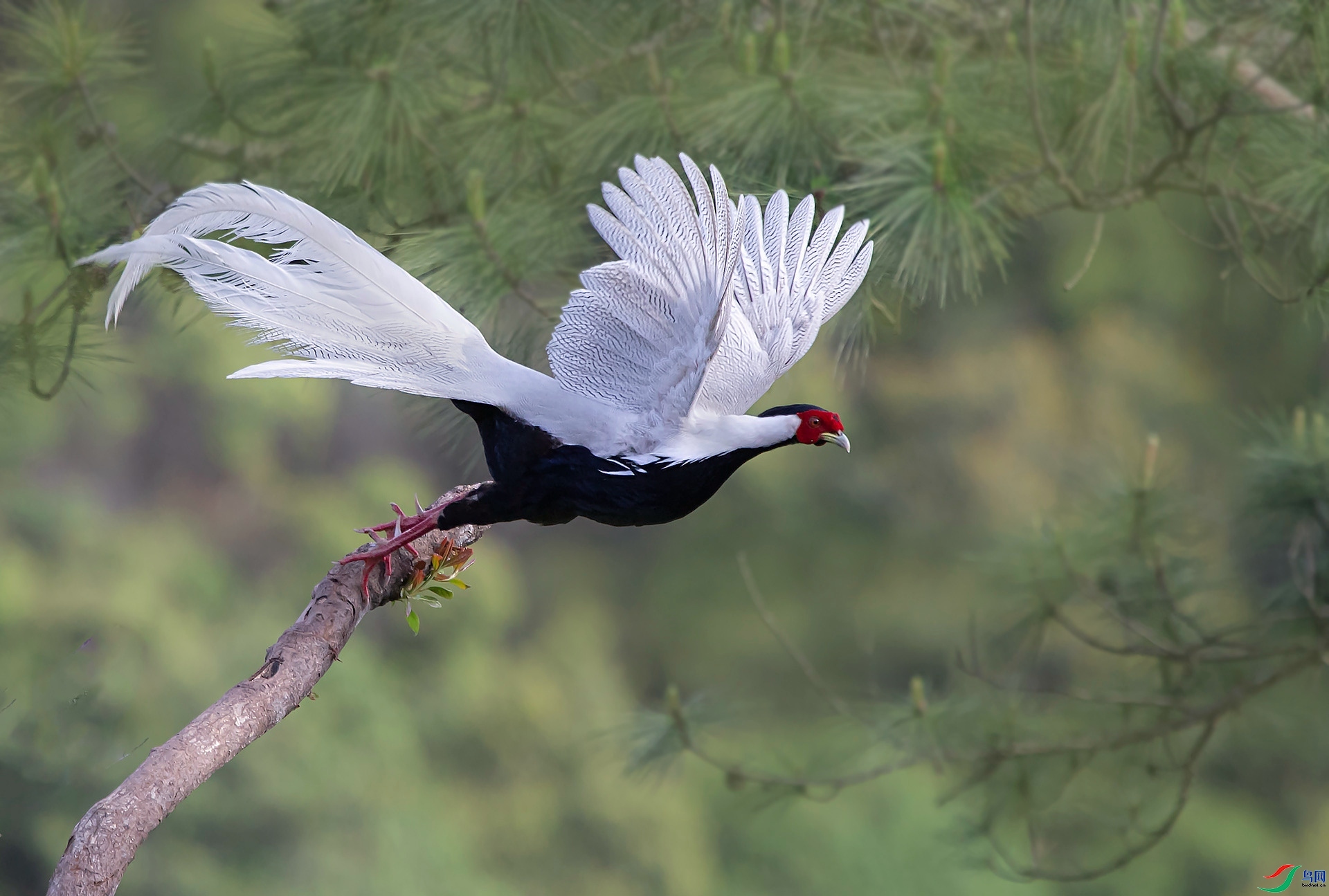 ��� ���� �������99  ��һ.jpg