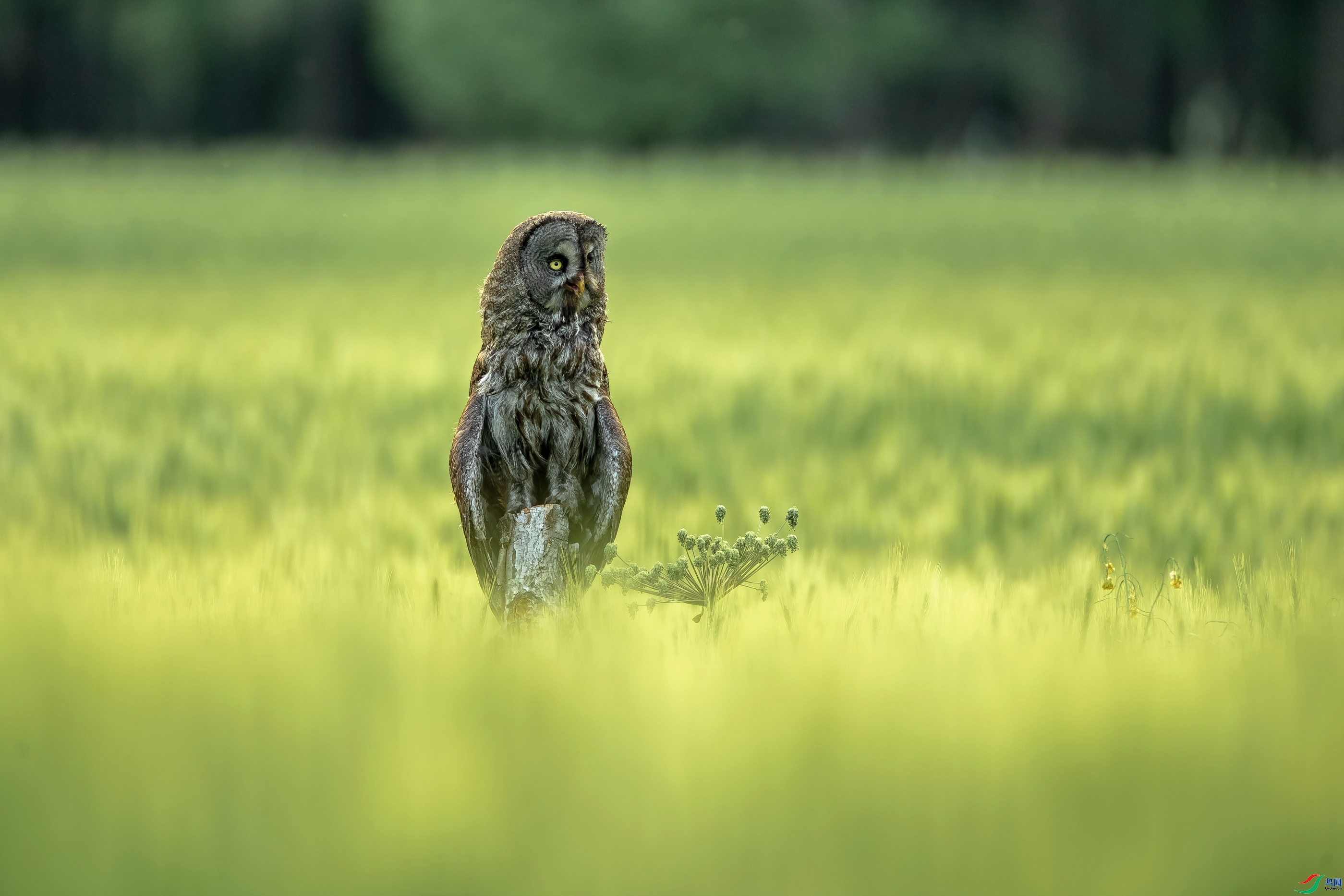 ������ʿ  ���� ͬ������ ��һ.jpg