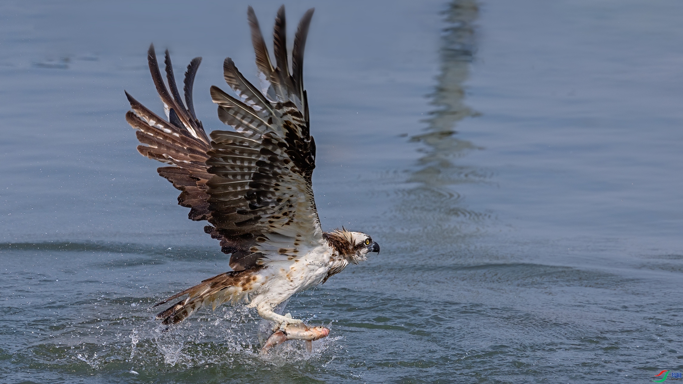 ��ˮ˲�� ���� �������� �ܶ�.jpg