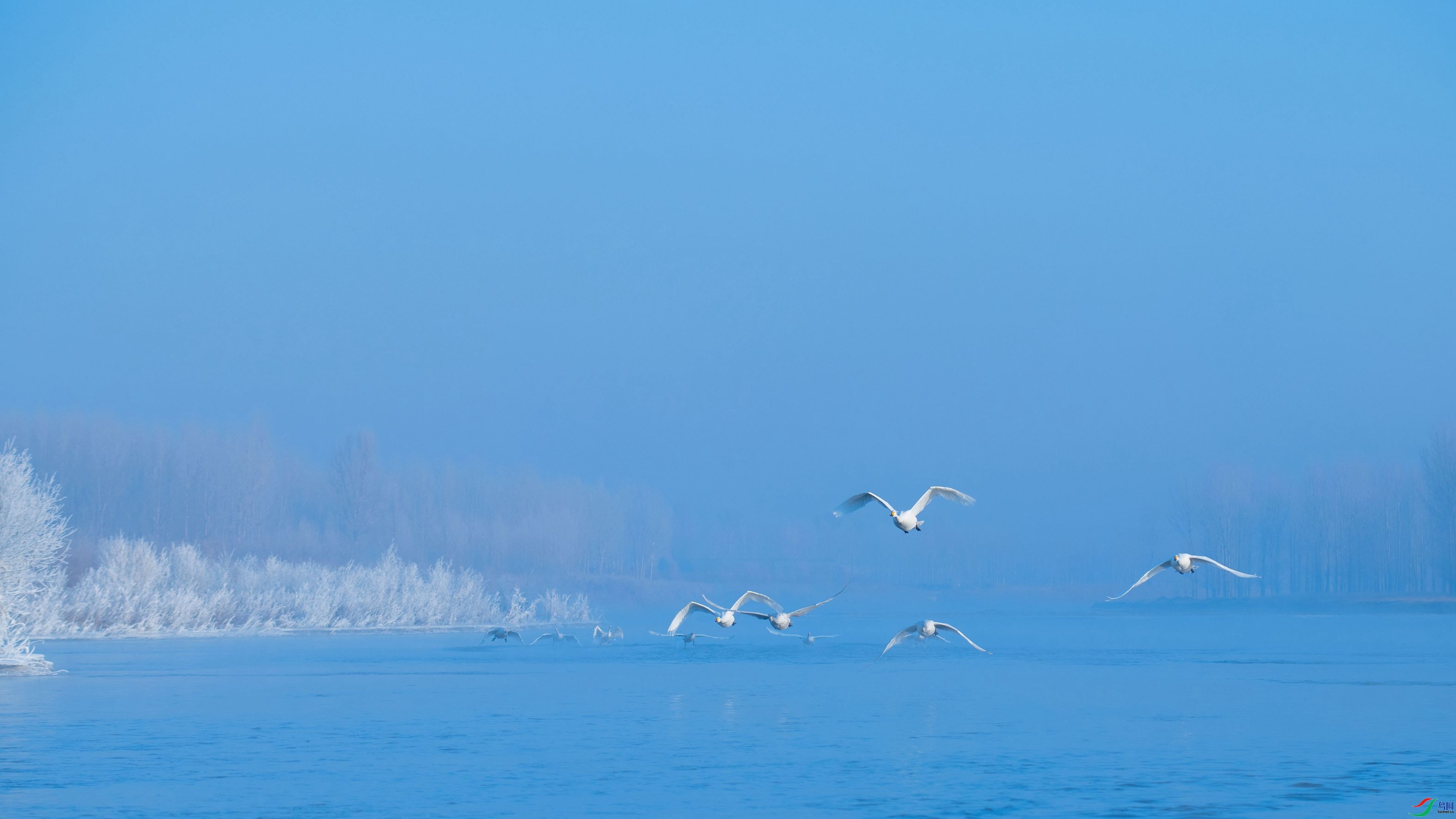 �ֵ������ ���� �����ү  �ܶ�.jpg