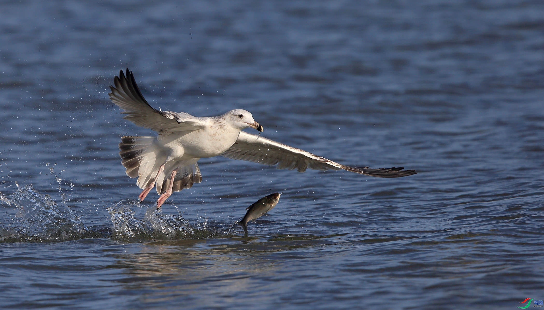 ���� ���� ��ǲ ����.jpg