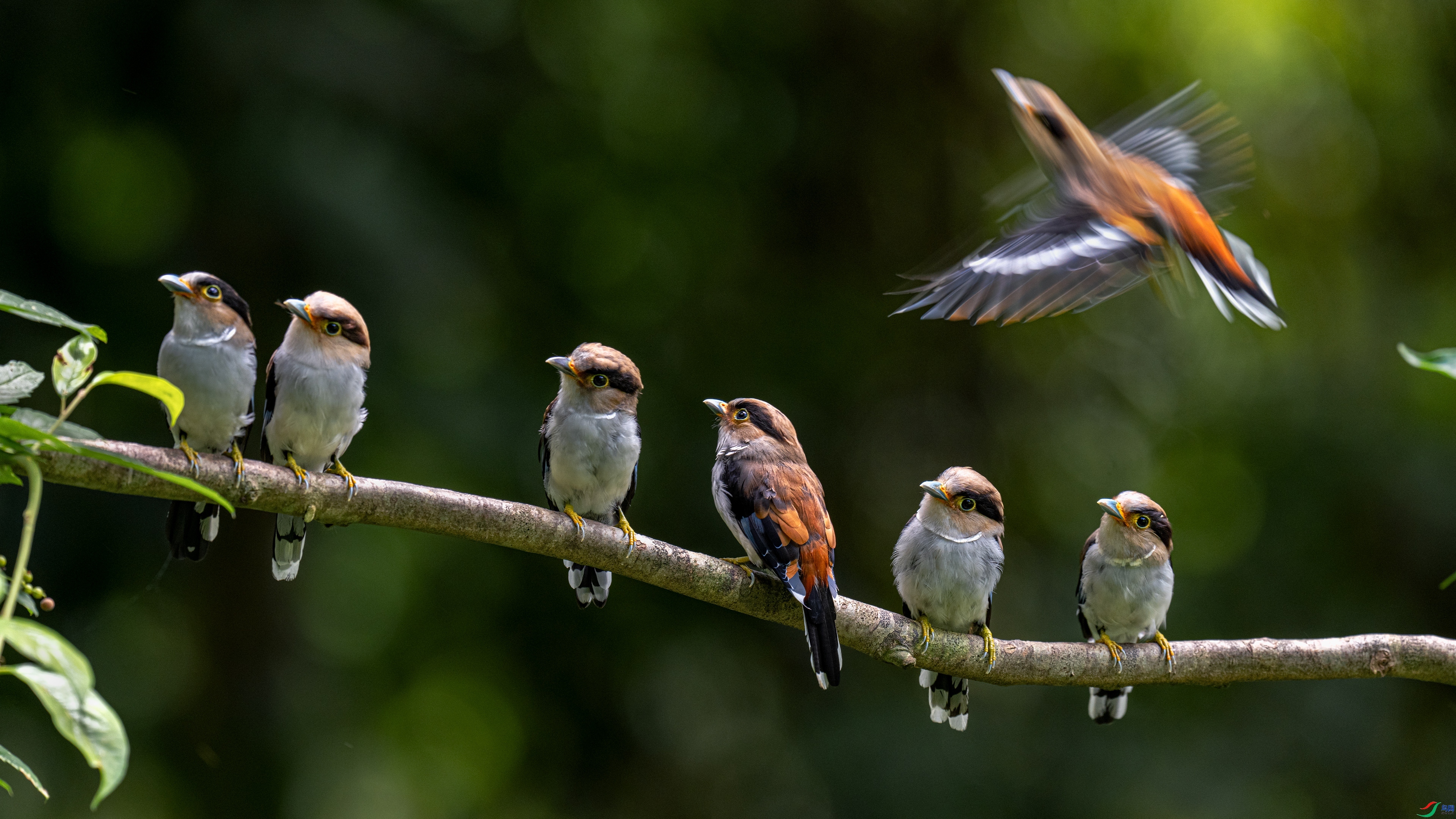 ���  ���� ɳ��  ����.jpg