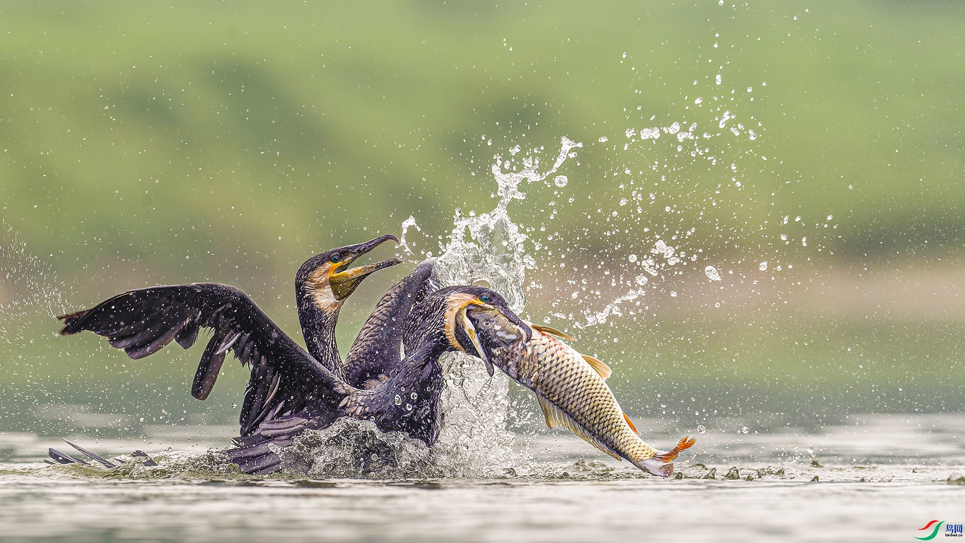 ǰ�����  ���� ��������1  ����.jpg