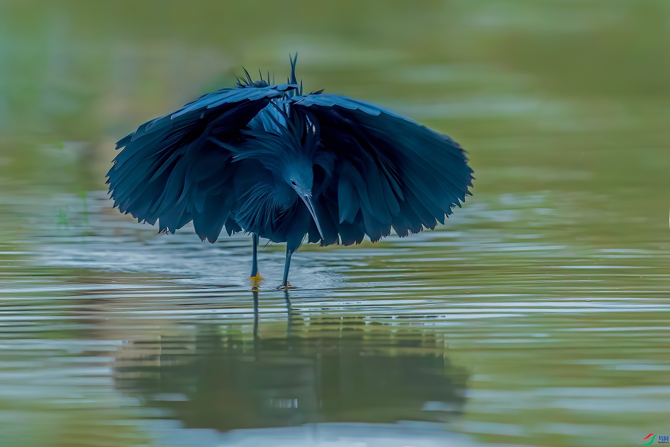 ����  ���� ���Ӿ� ����.jpg