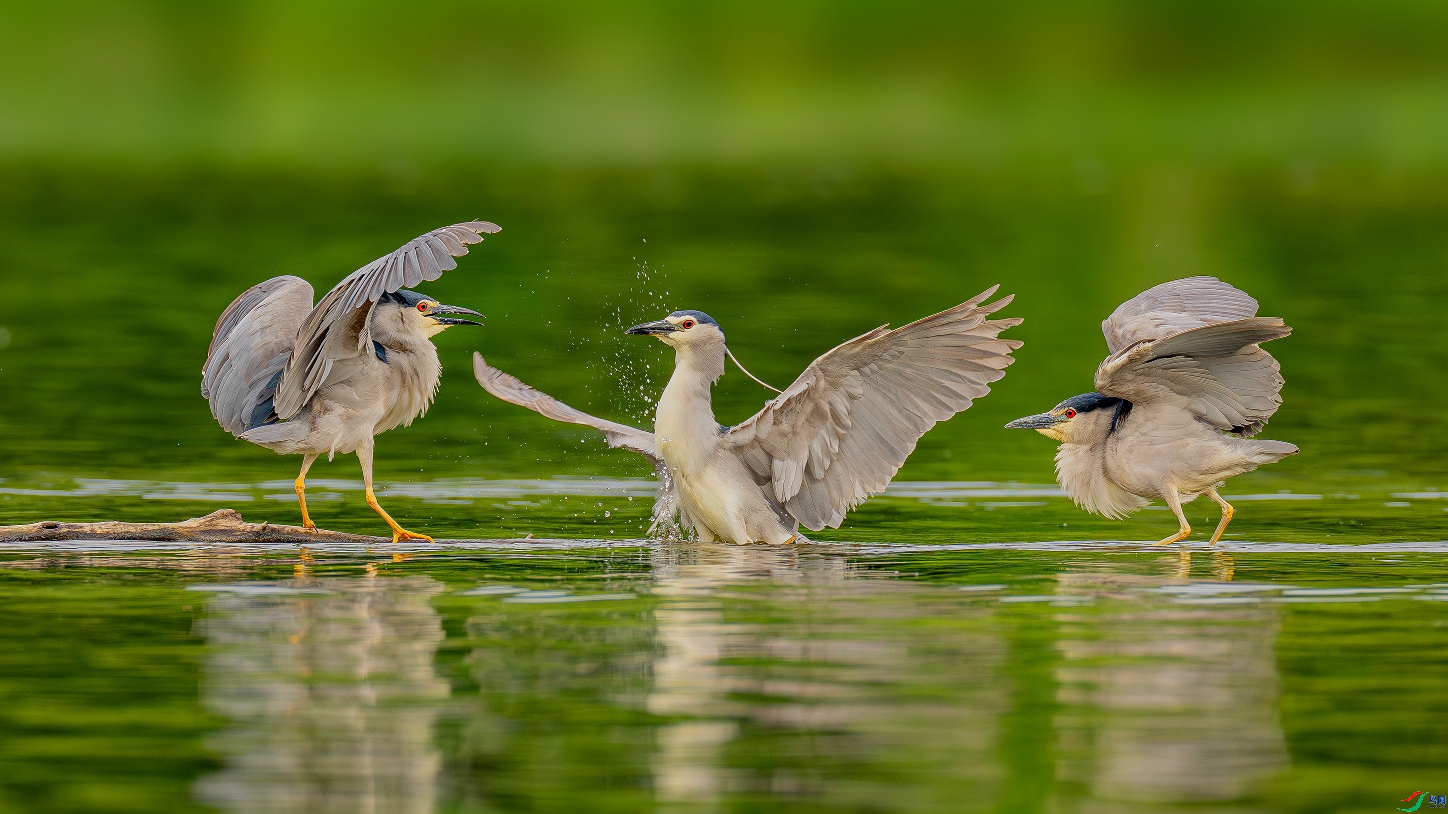 ���� ���� ������ ����.jpg