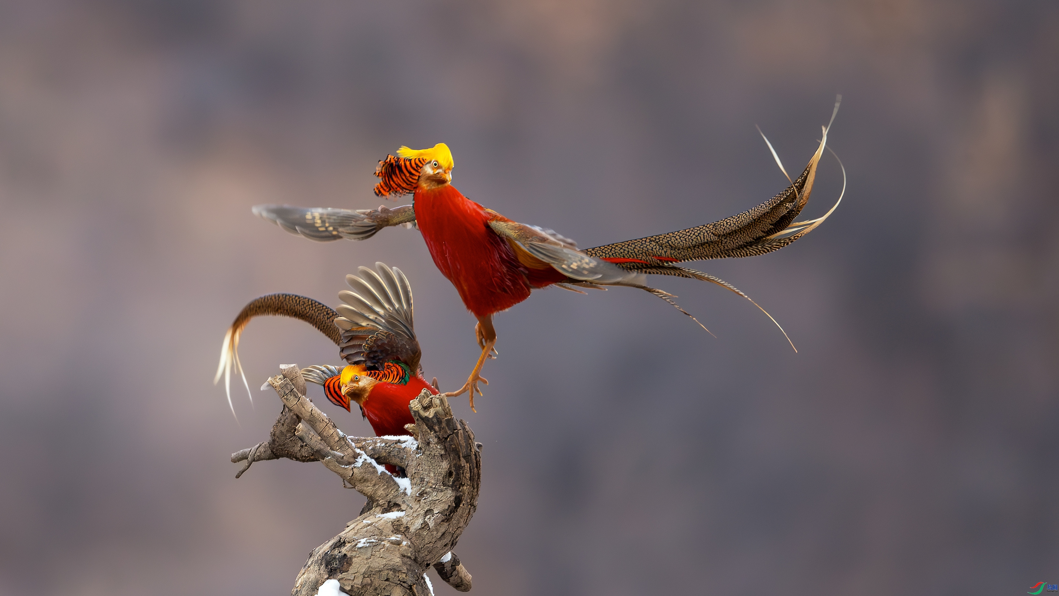 ���ǵǳ�  ���� ɳ�� ����.jpg