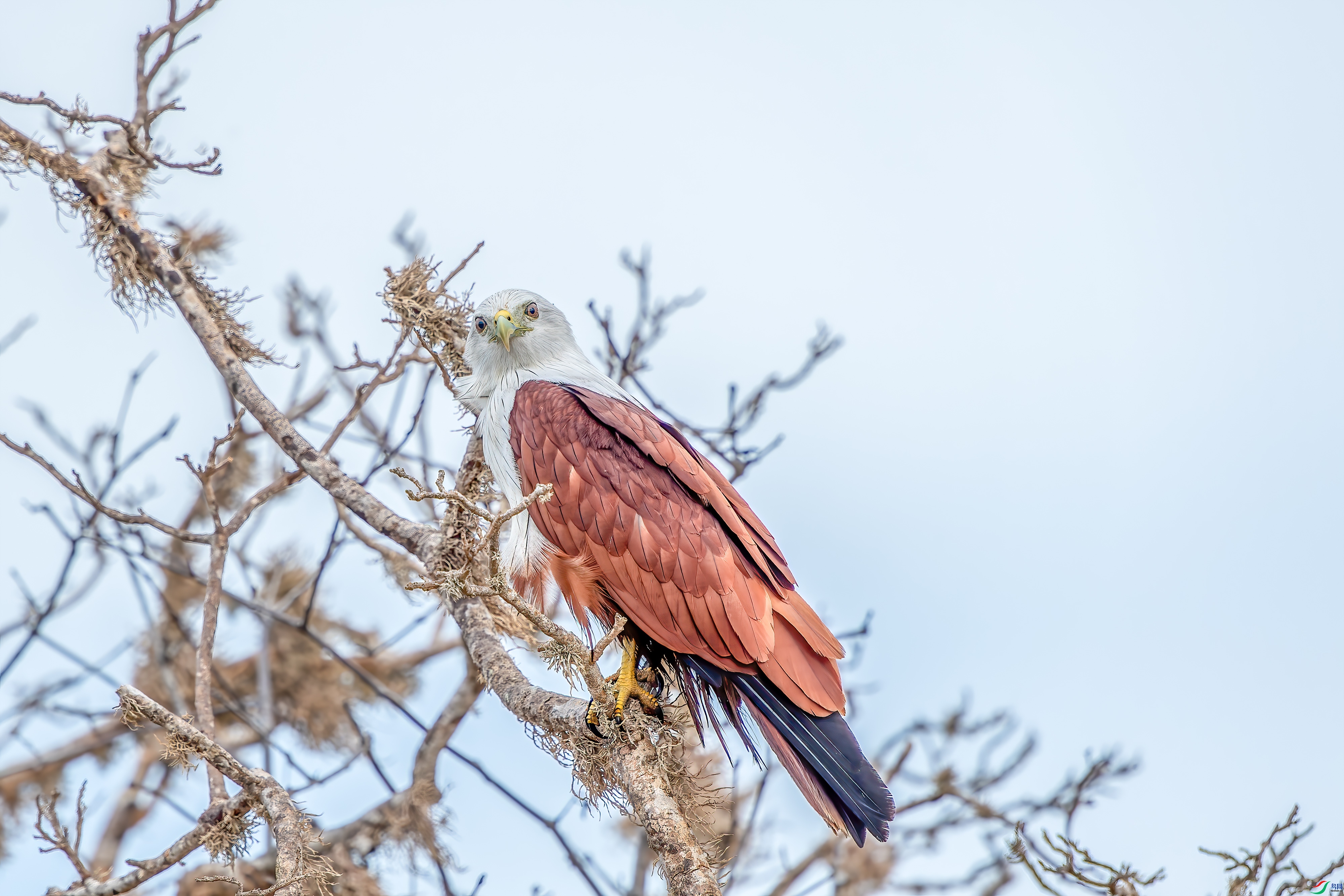 ��� ����   ����.jpg