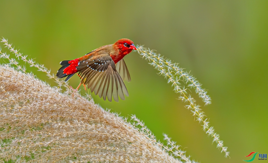 æµ������  ���� ����ʫһ������  ����.jpg