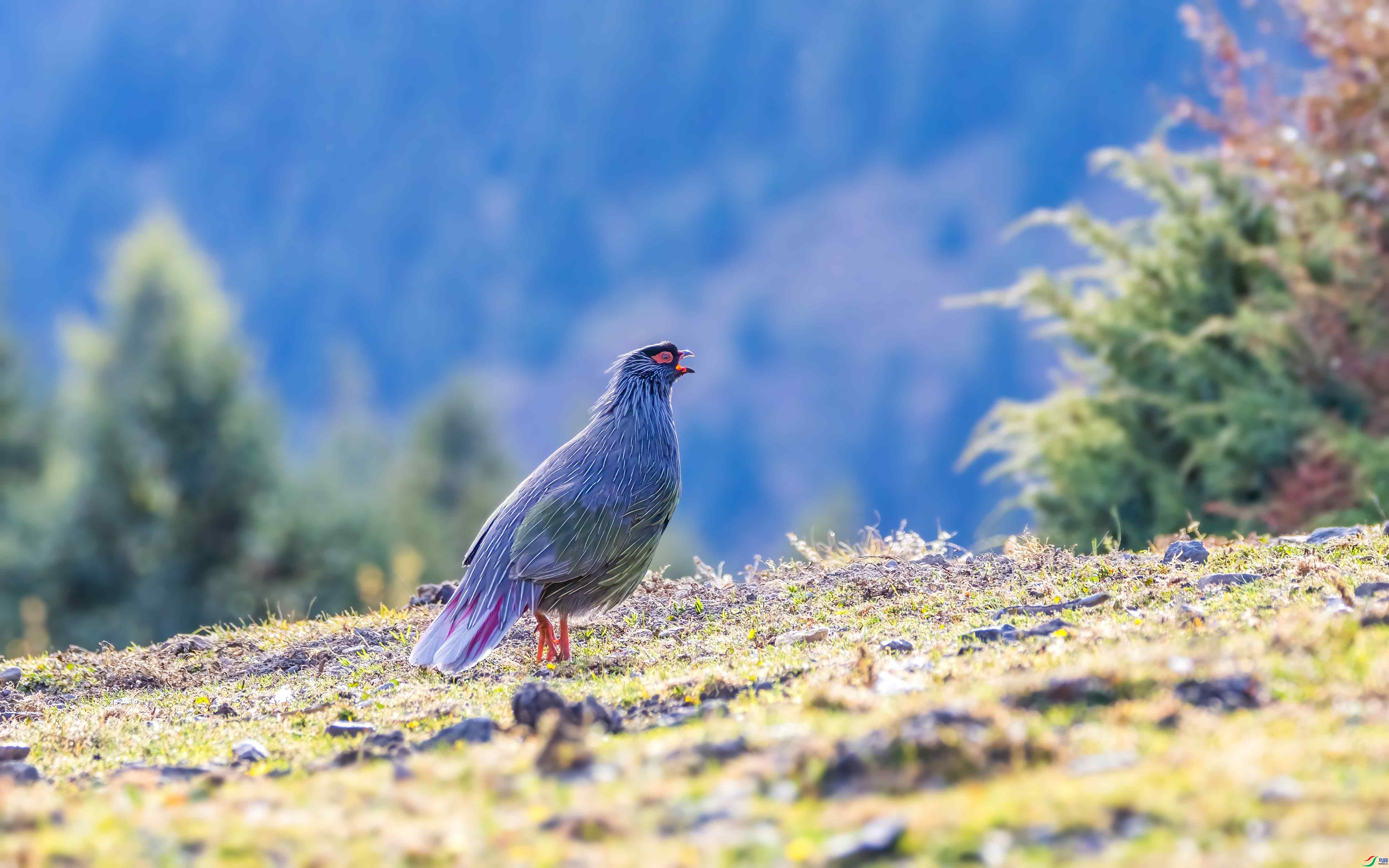 ���� ���� �ɶ��Ͻ�  ����.jpg