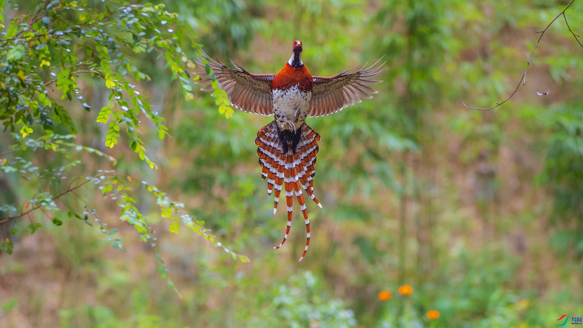 ӭ����� ���� ����.jpg