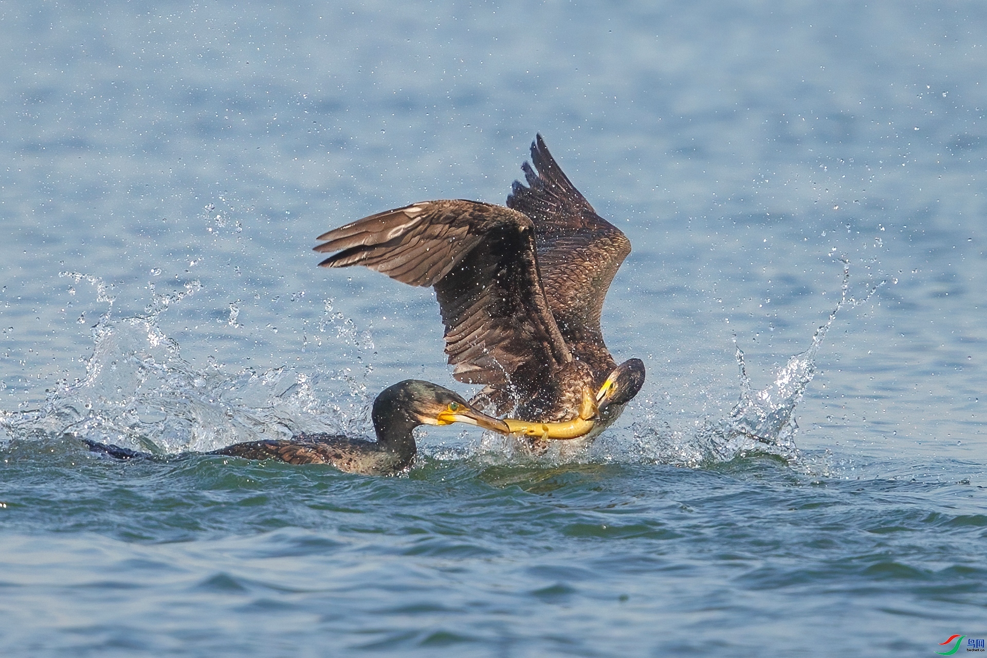 �κ�  ���� ���¹�Ӱ  ����.jpg