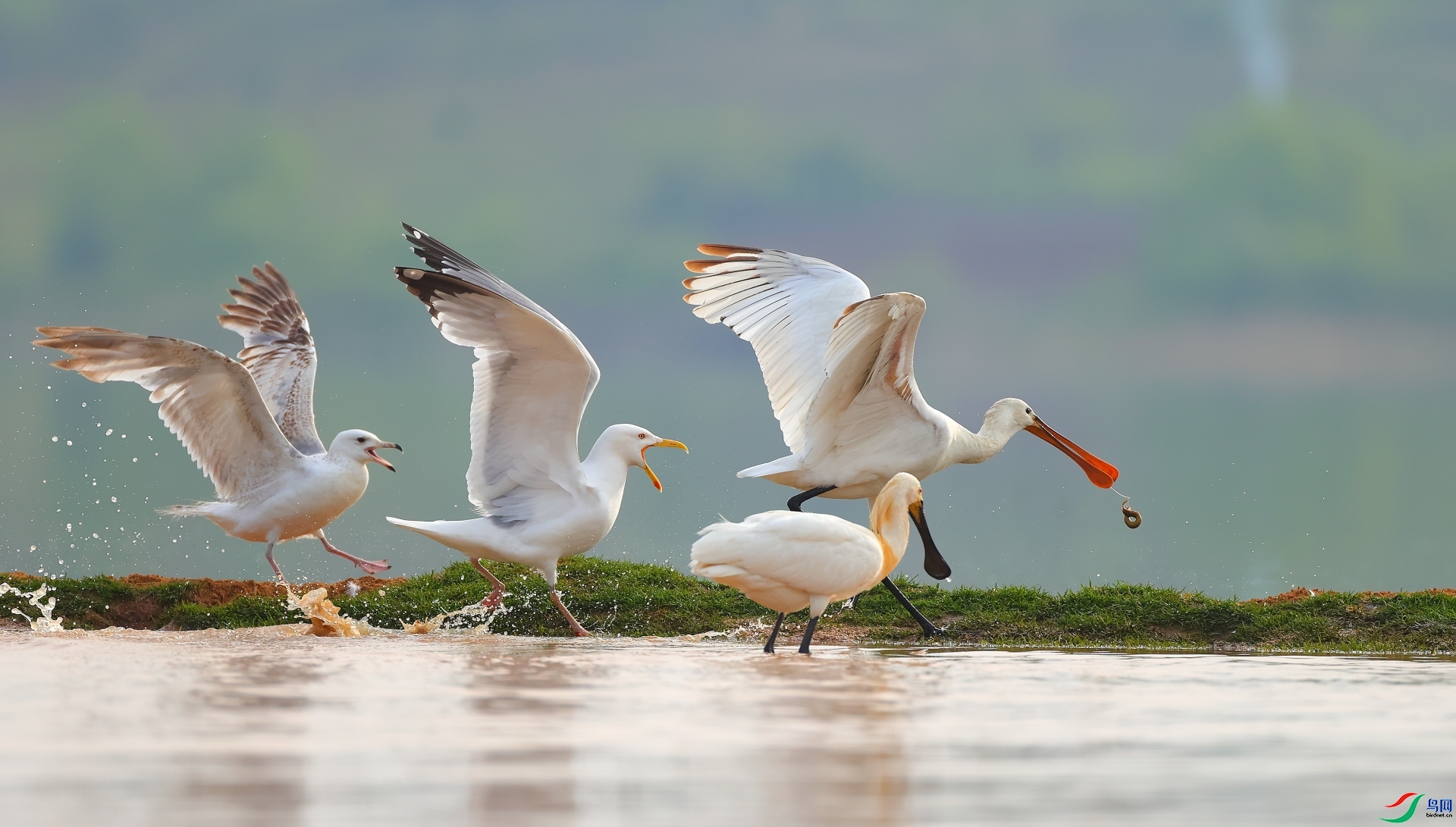 ��������  ���� ����  ����.jpg