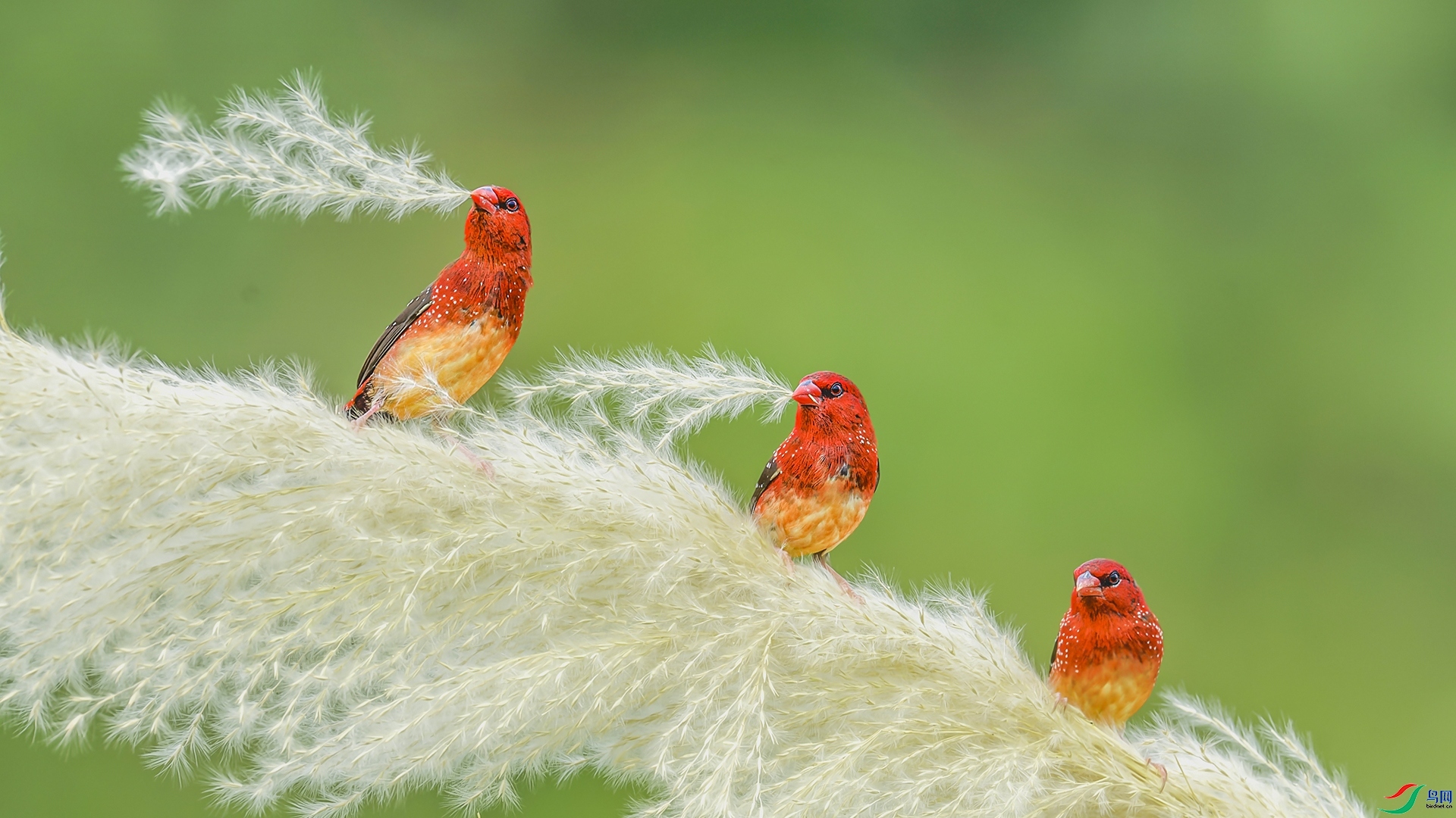 ӭ��Ʈ�� ���� ��������1  ����.jpg