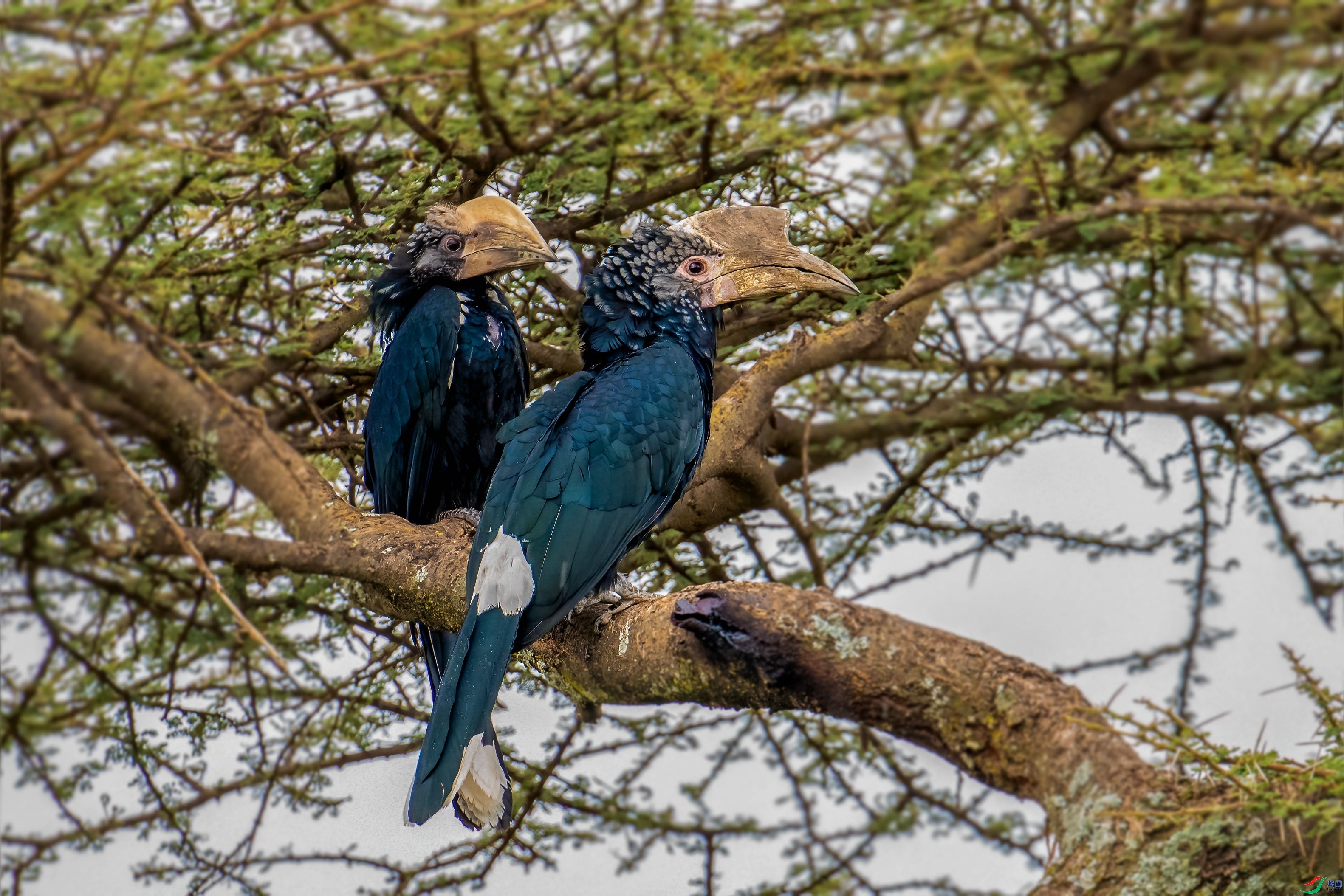 С���е�������Ϭ��  ���� ���Ӿ� ����.jpg