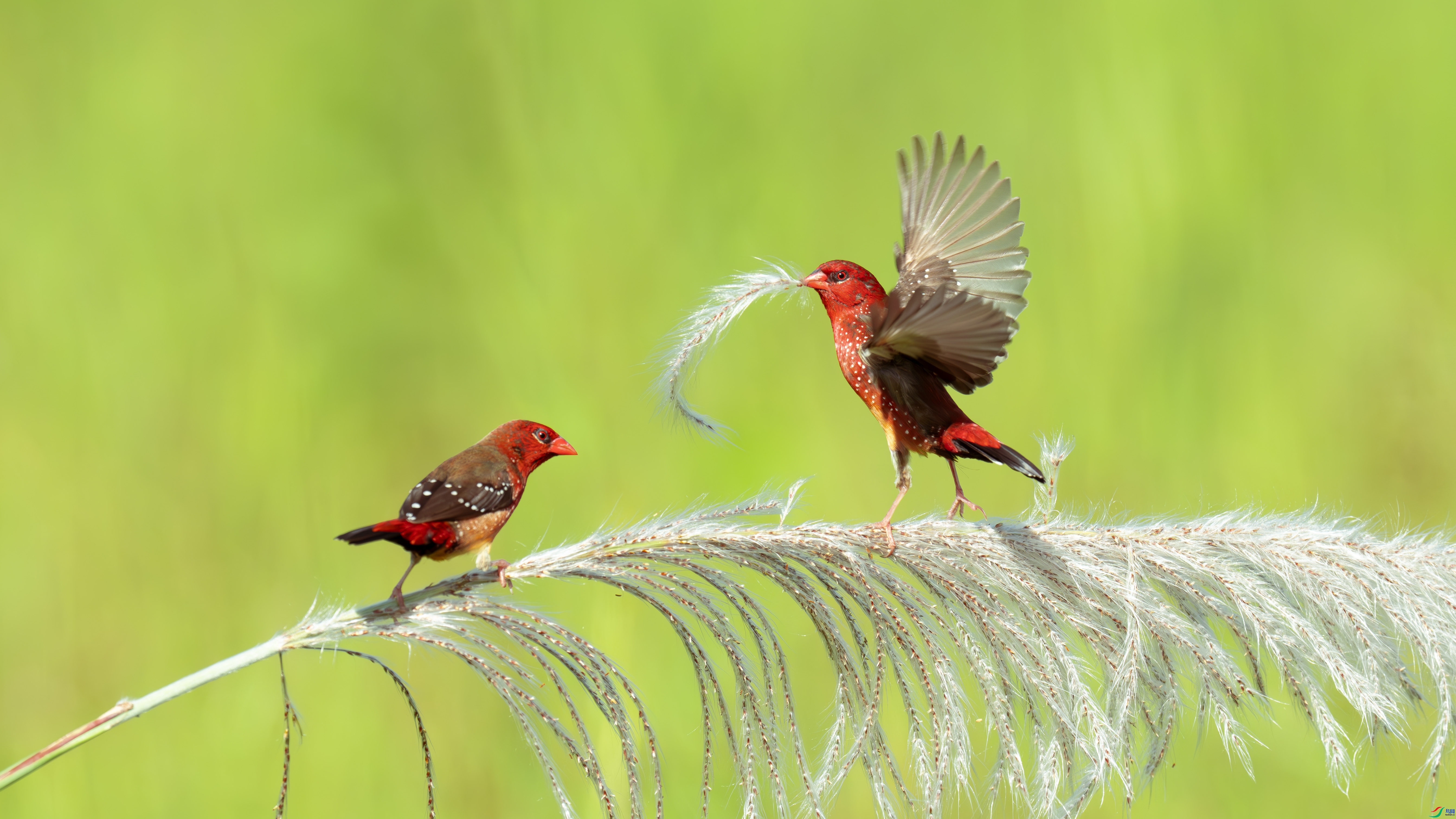 έ����  ���� ɳ��  ����.jpg
