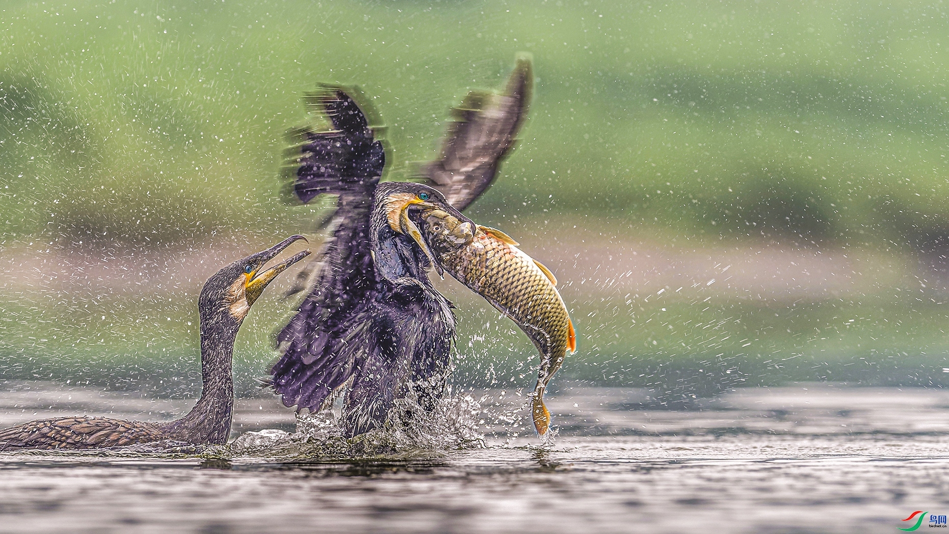 ����  ���� ��������1  ����.jpg