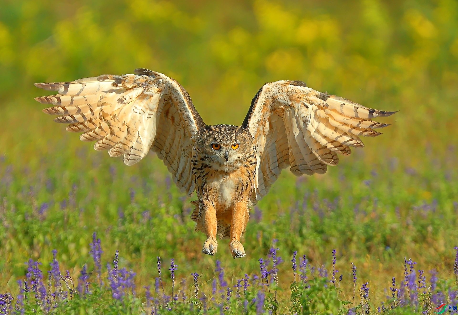 ���^�ɽ�  ���� 8341  ����.jpg