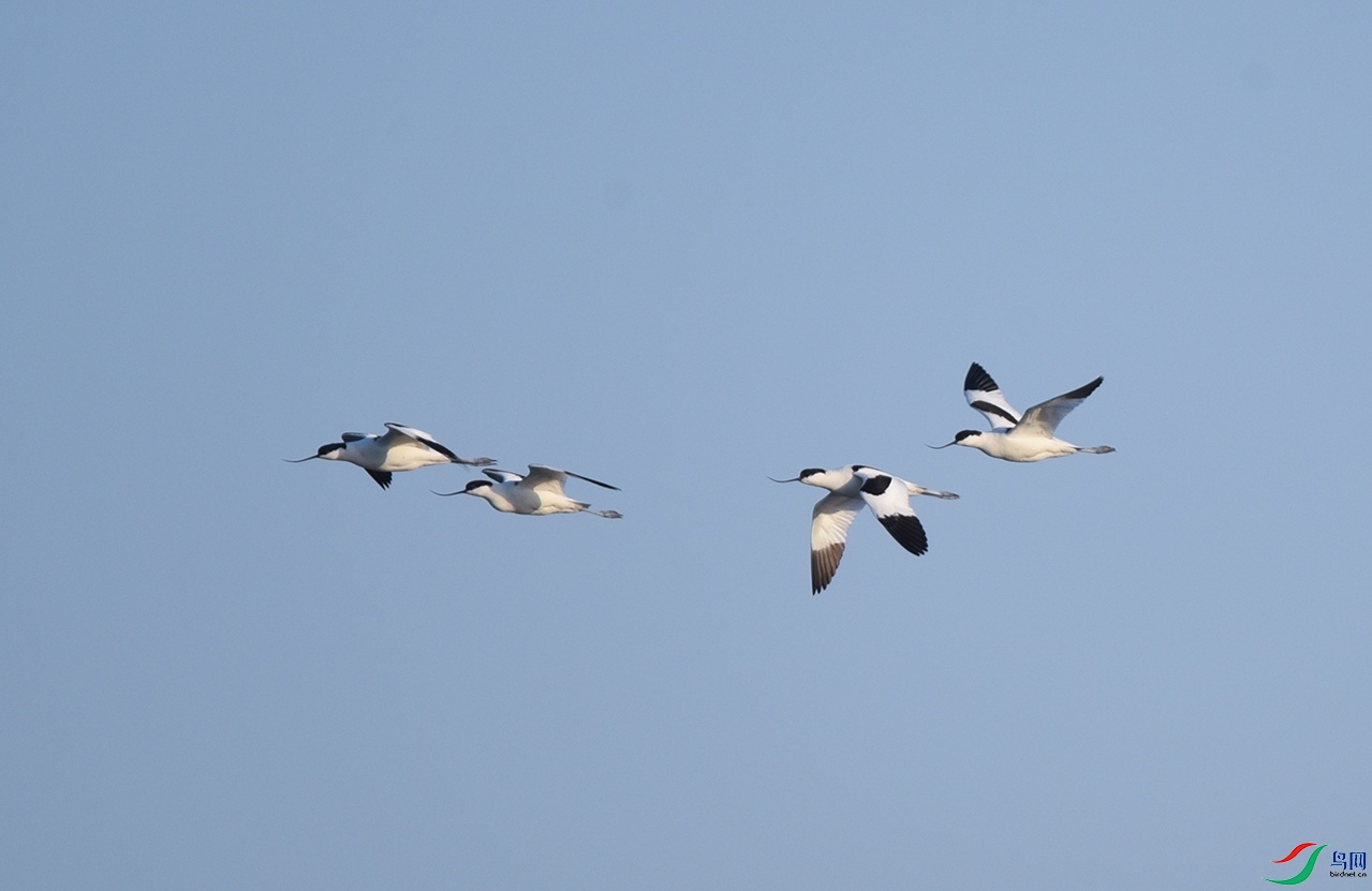 DSC_9176f1_��ͼ��.jpg