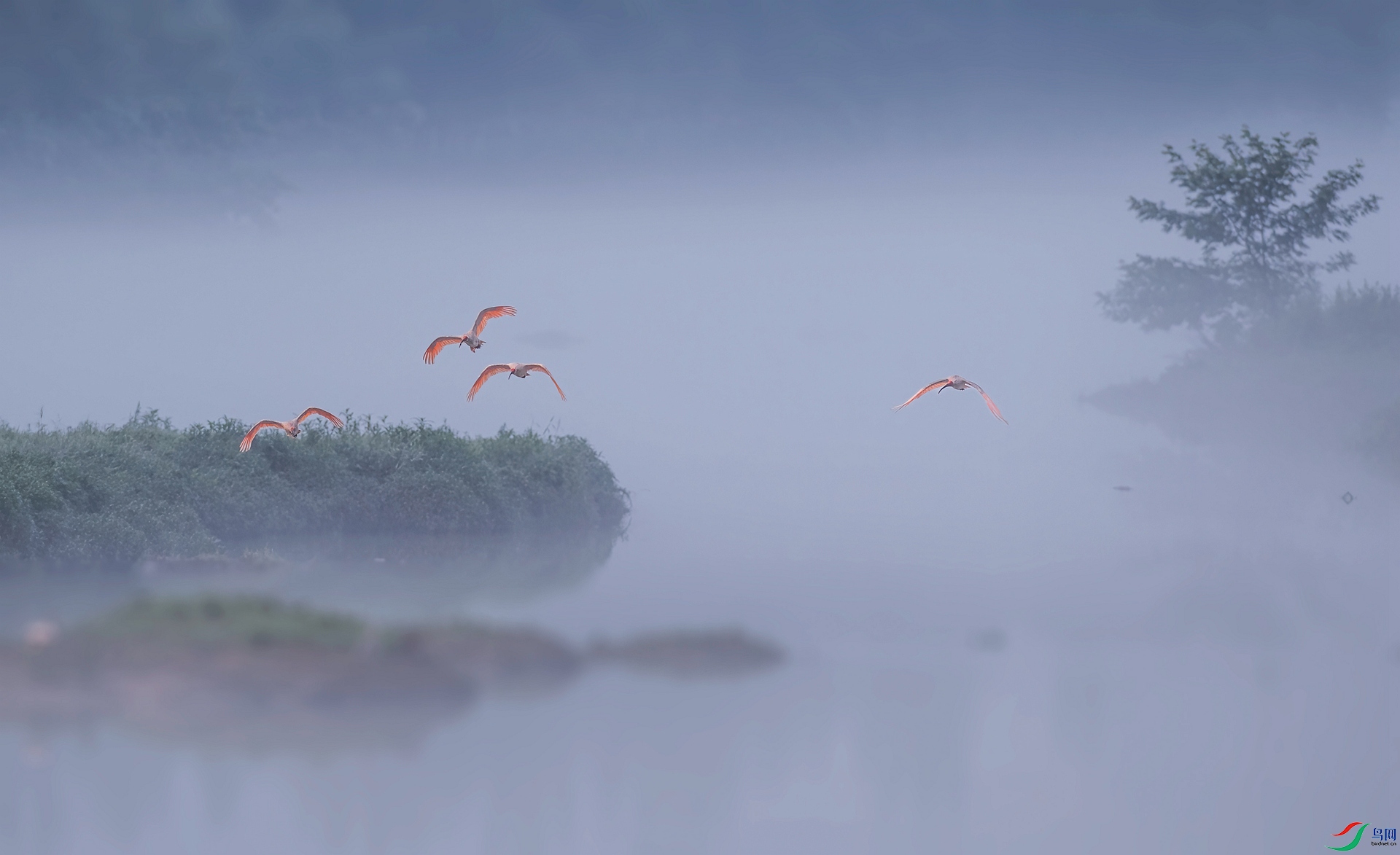 DSC_0293 ����_���� ����.jpg