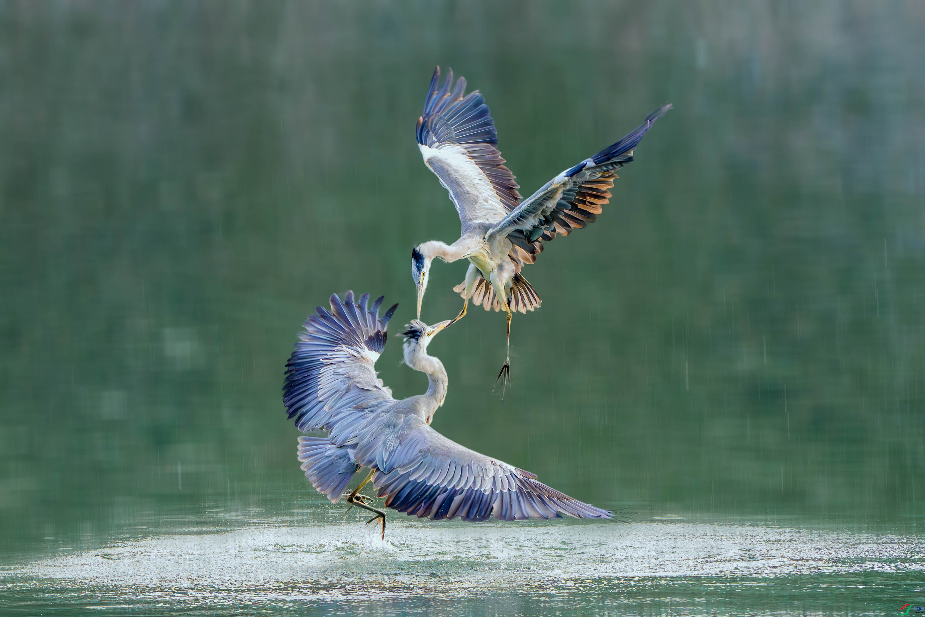 _DSC8047-����ǿ-NR ���� 2.jpg