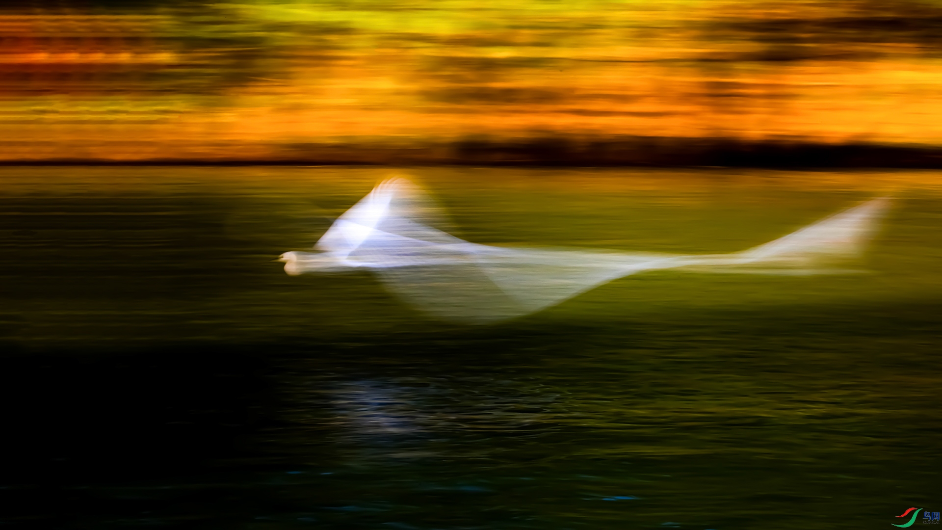 ӭ����ϼ����