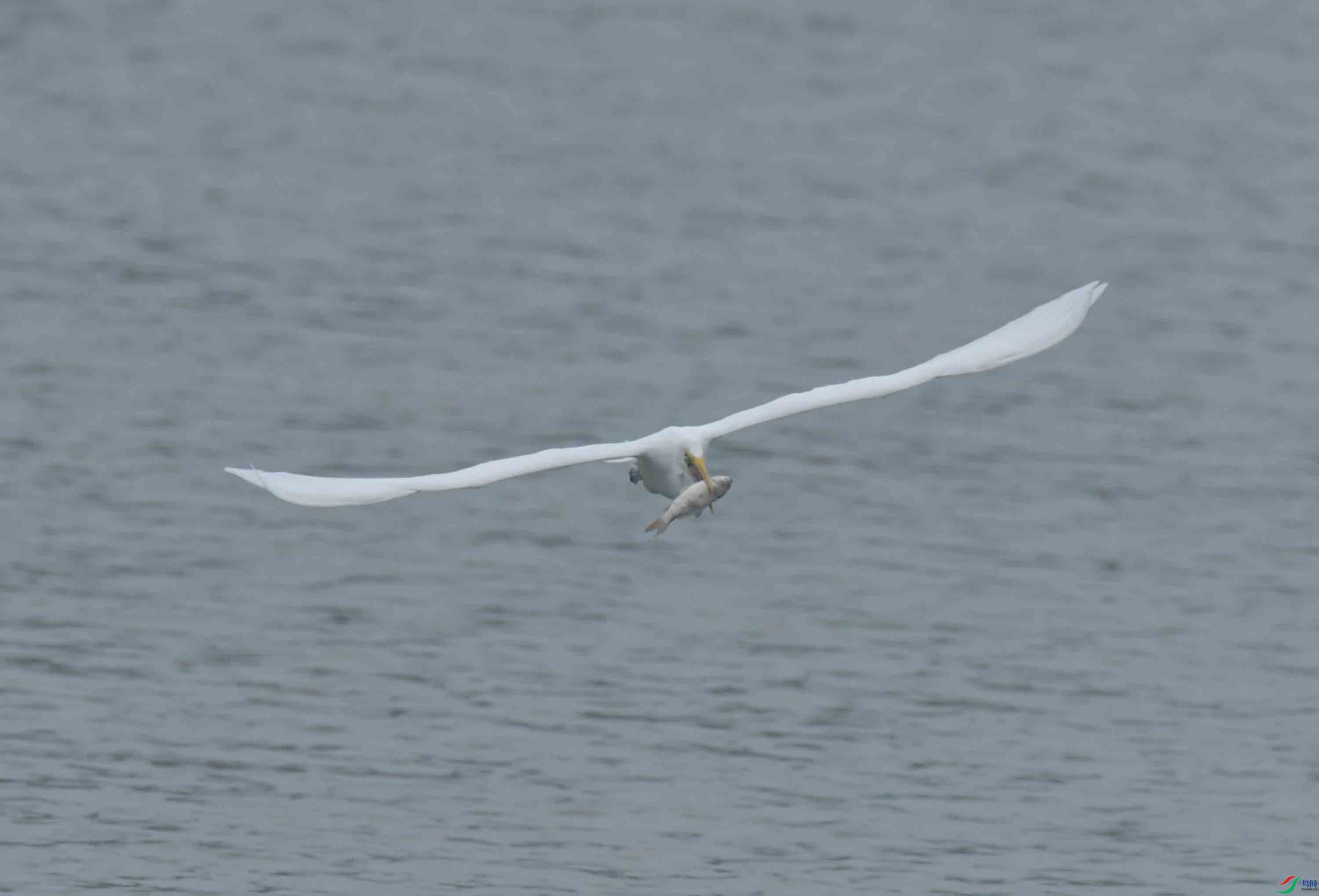 DSC_9891.JPG