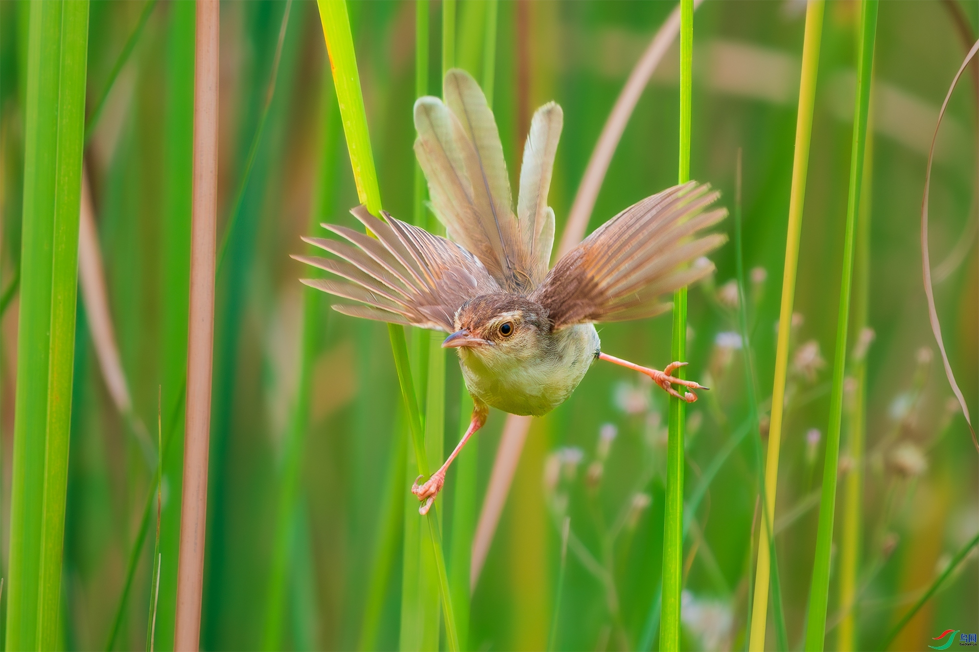 20231023��Ѱ�١�����һ�� ��Ӱʦ����.jpg