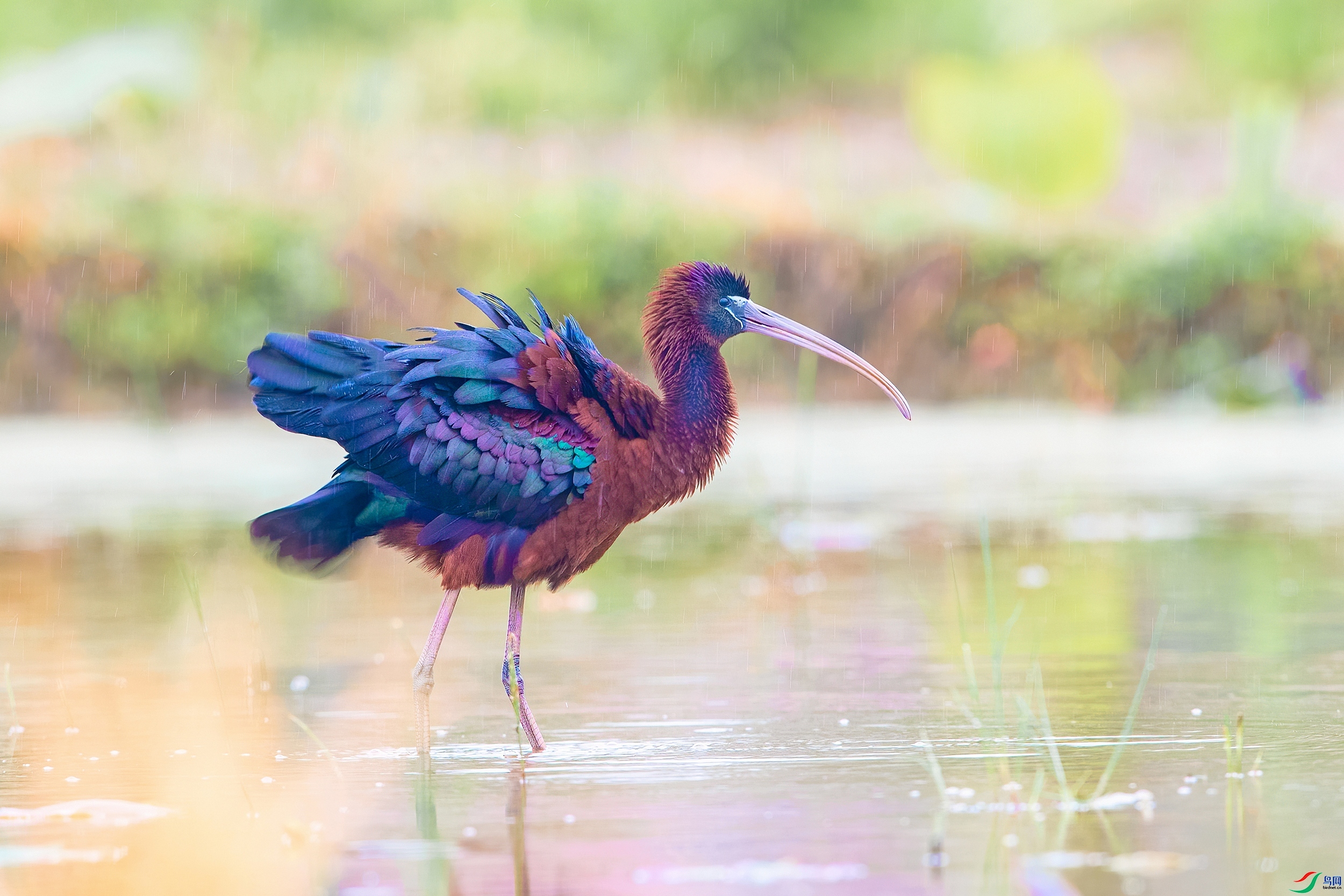 20231026��ϸ���еķ��顷Ļ������ ��������.jpg