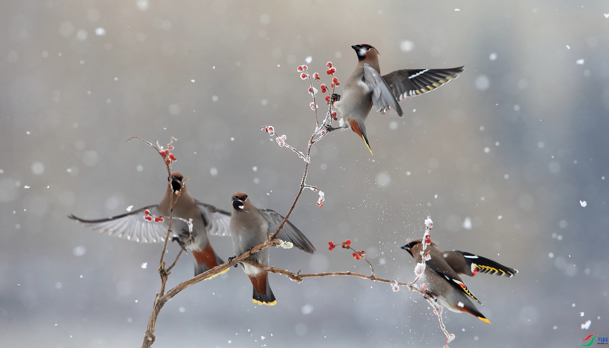 20231027�������н�ʳ����ǲ ��Ӱʦ����.jpg