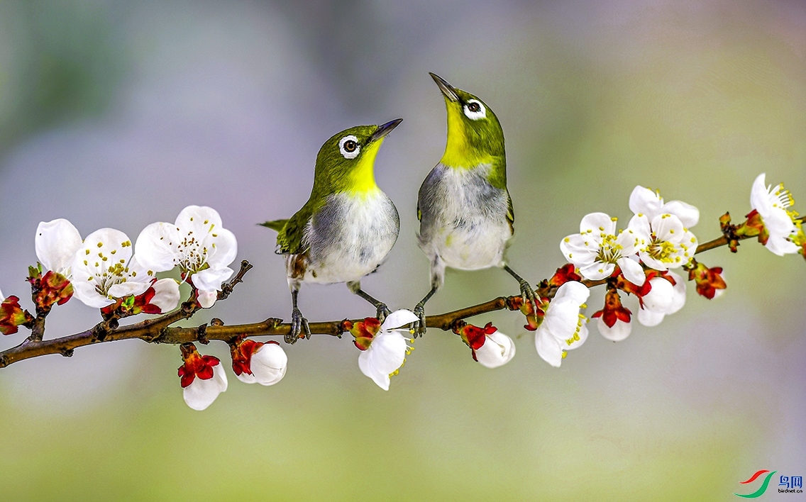 20231029���ӻ�ֿ���������� ��Ա����.jpg