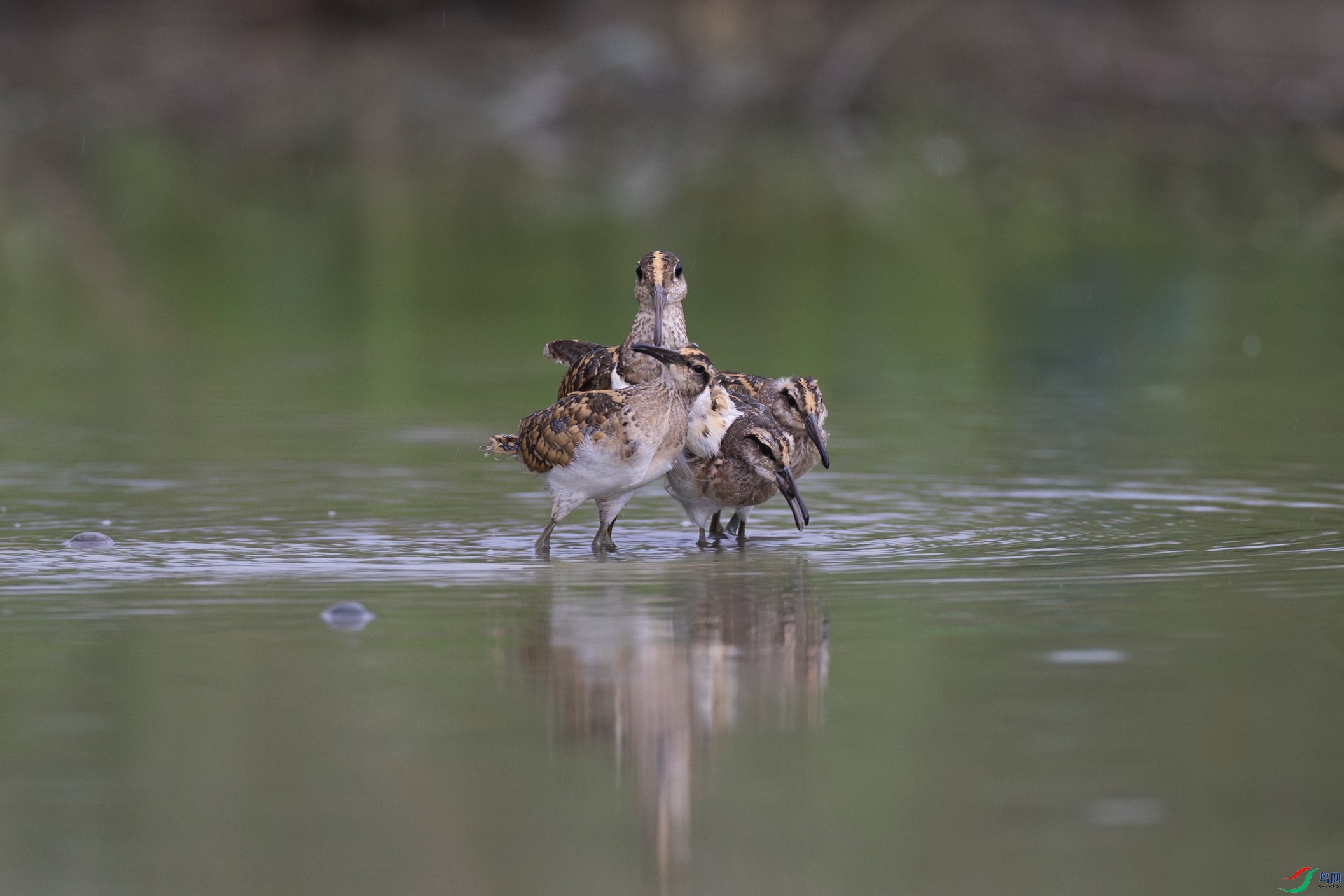 WechatIMG4962 (1).jpeg